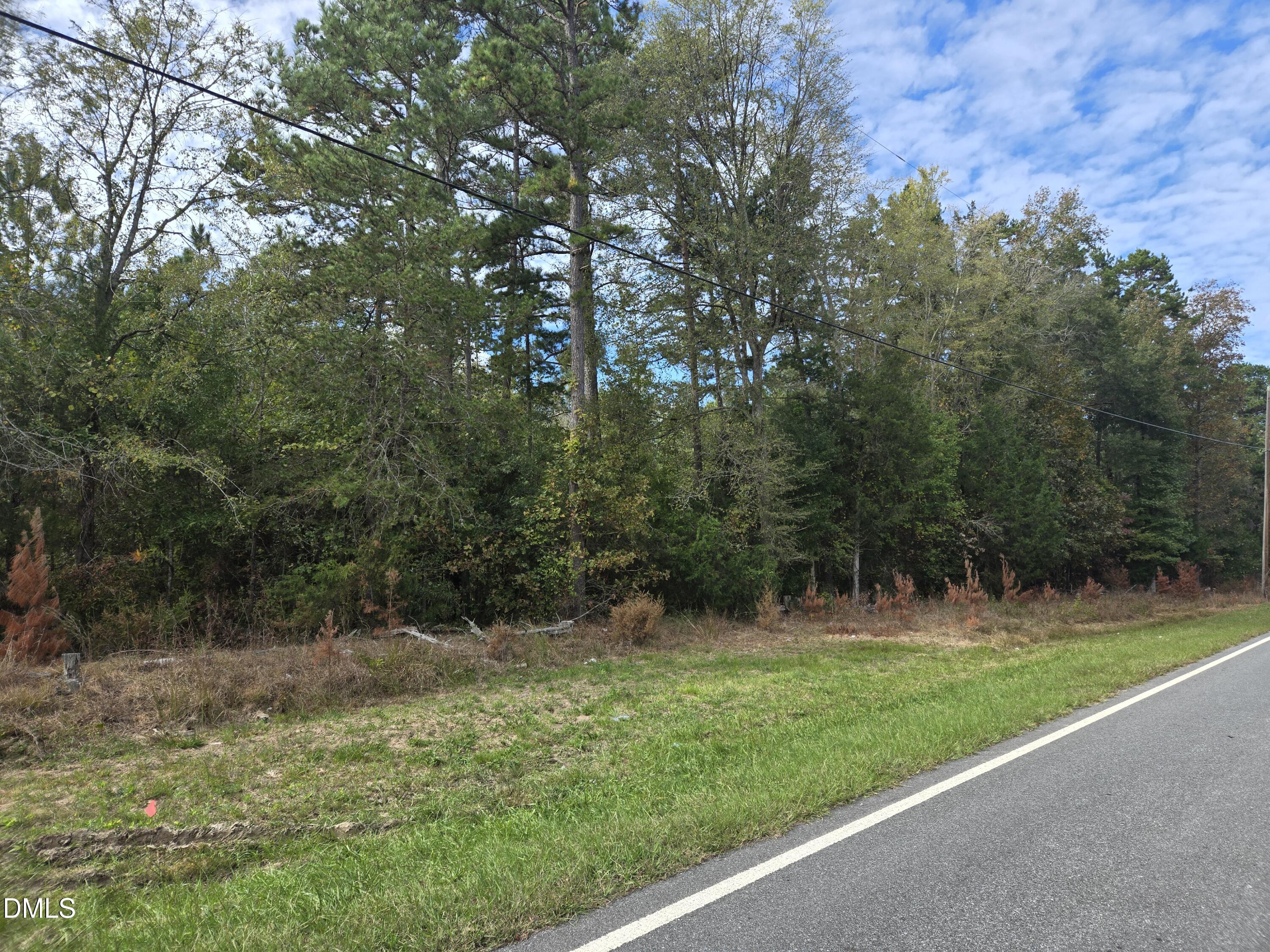 0 Bass Mountain Road Property Photo 2