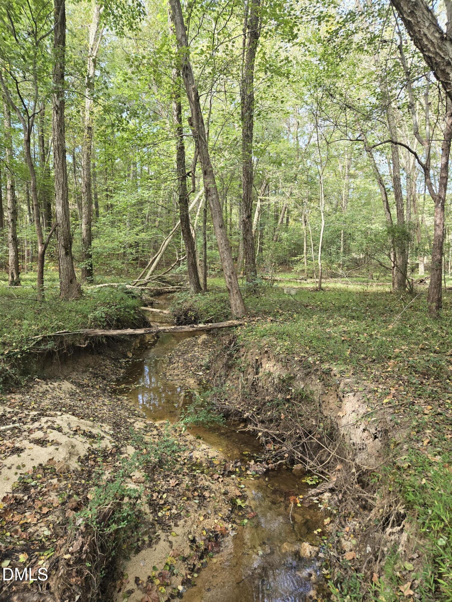 0 Bass Mountain Road Property Photo 3