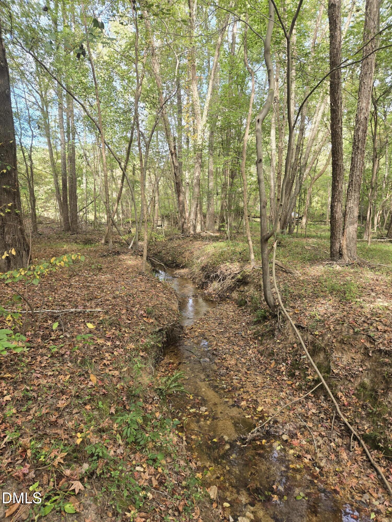 0 Bass Mountain Road Property Photo 4