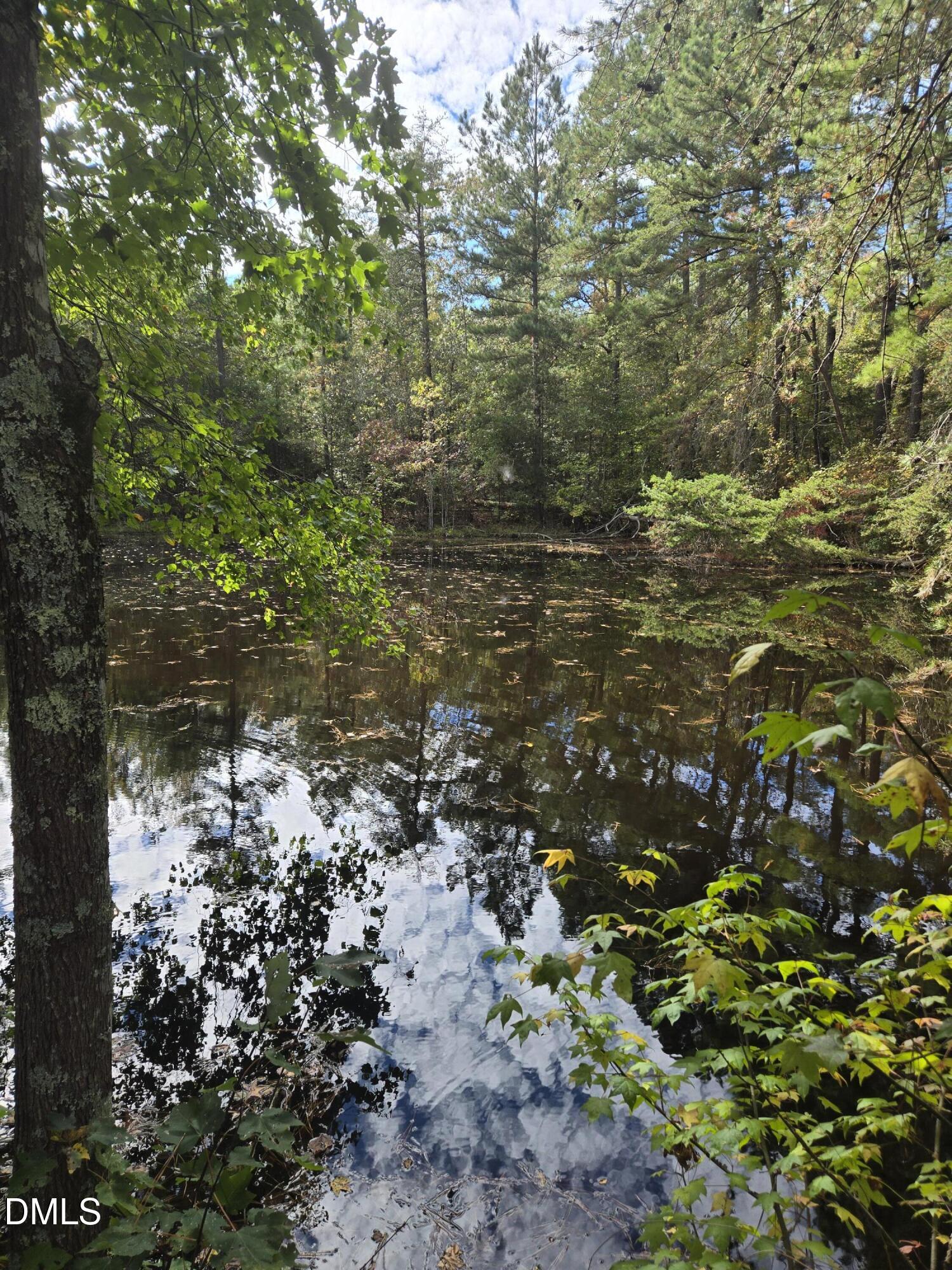 0 Bass Mountain Road Property Photo 5