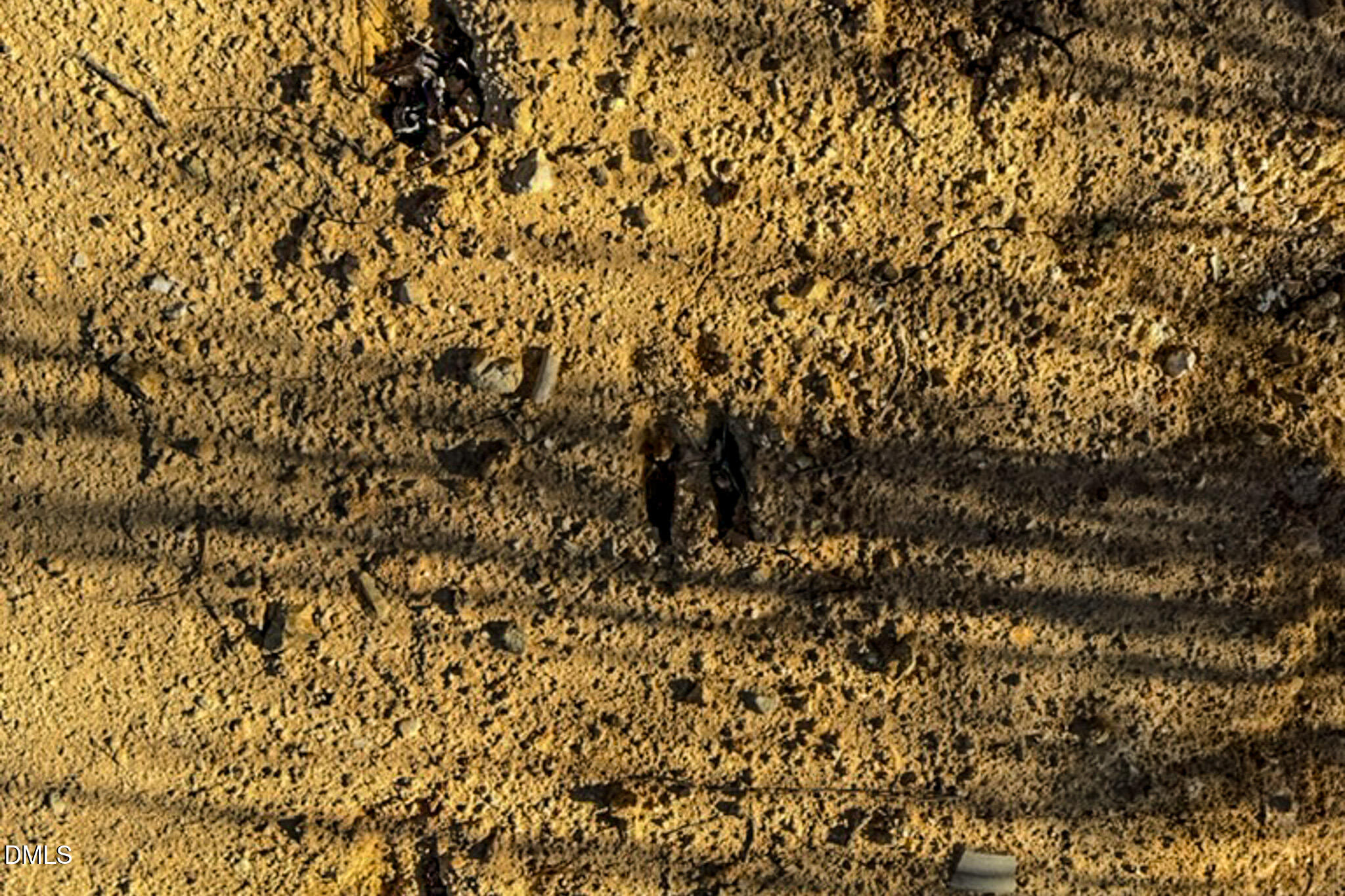 26.51 Acres Country Club Road Property Photo 5