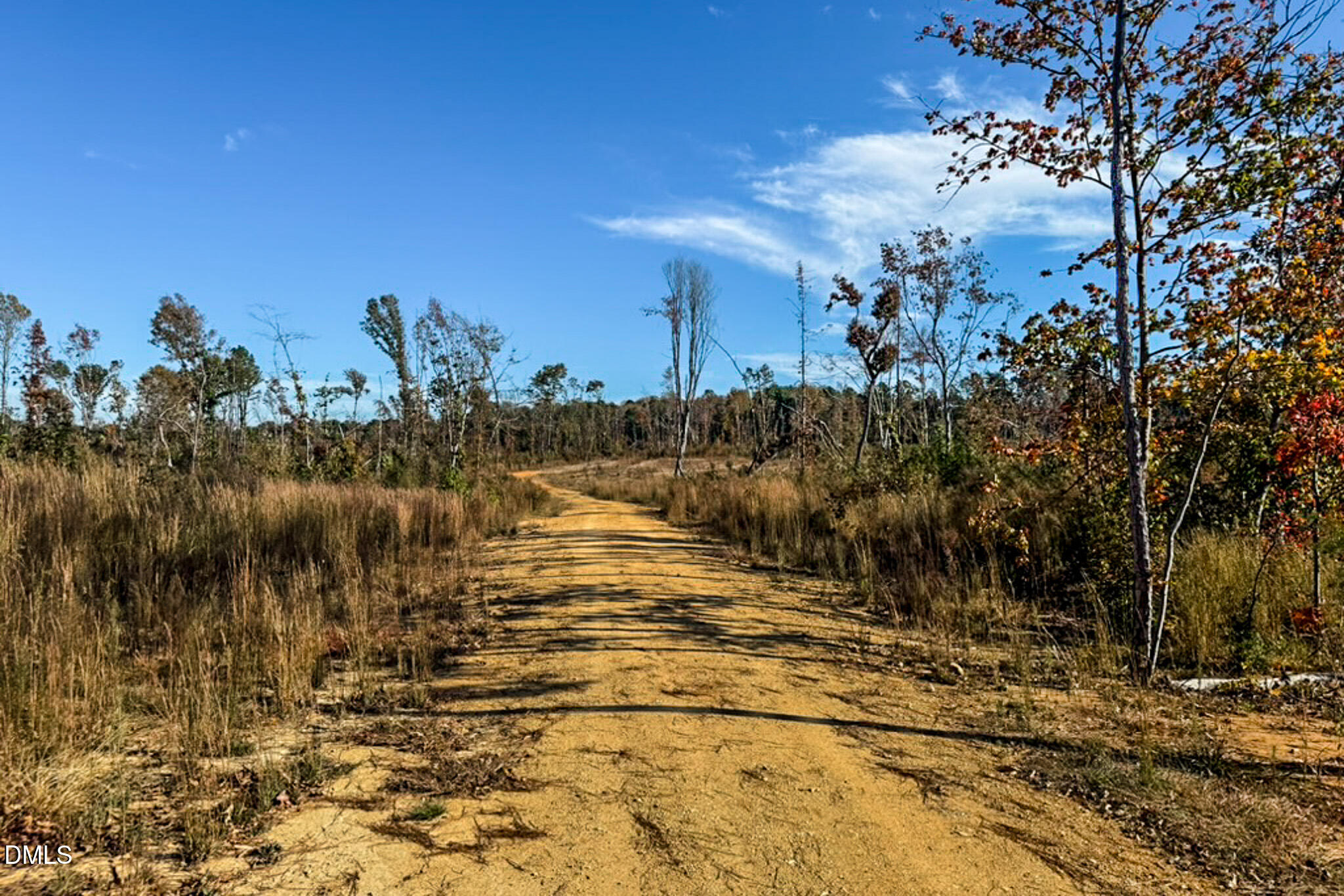 26.51 Acres Country Club Road Property Photo 7