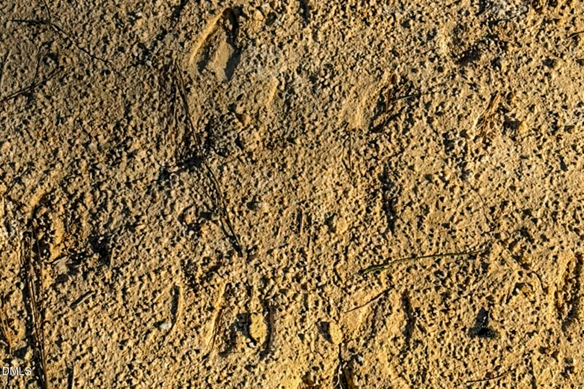 26.51 Acres Country Club Road Property Photo 10