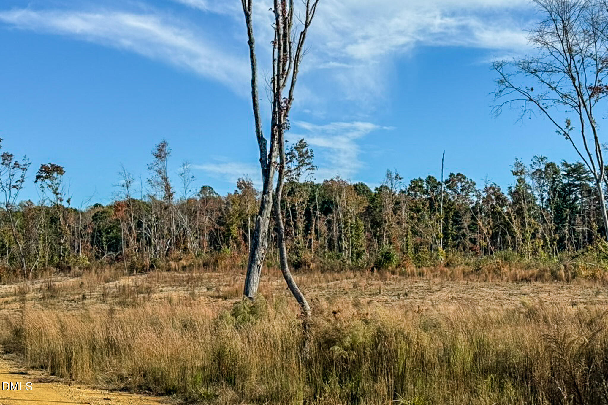 26.51 Acres Country Club Road Property Photo 15