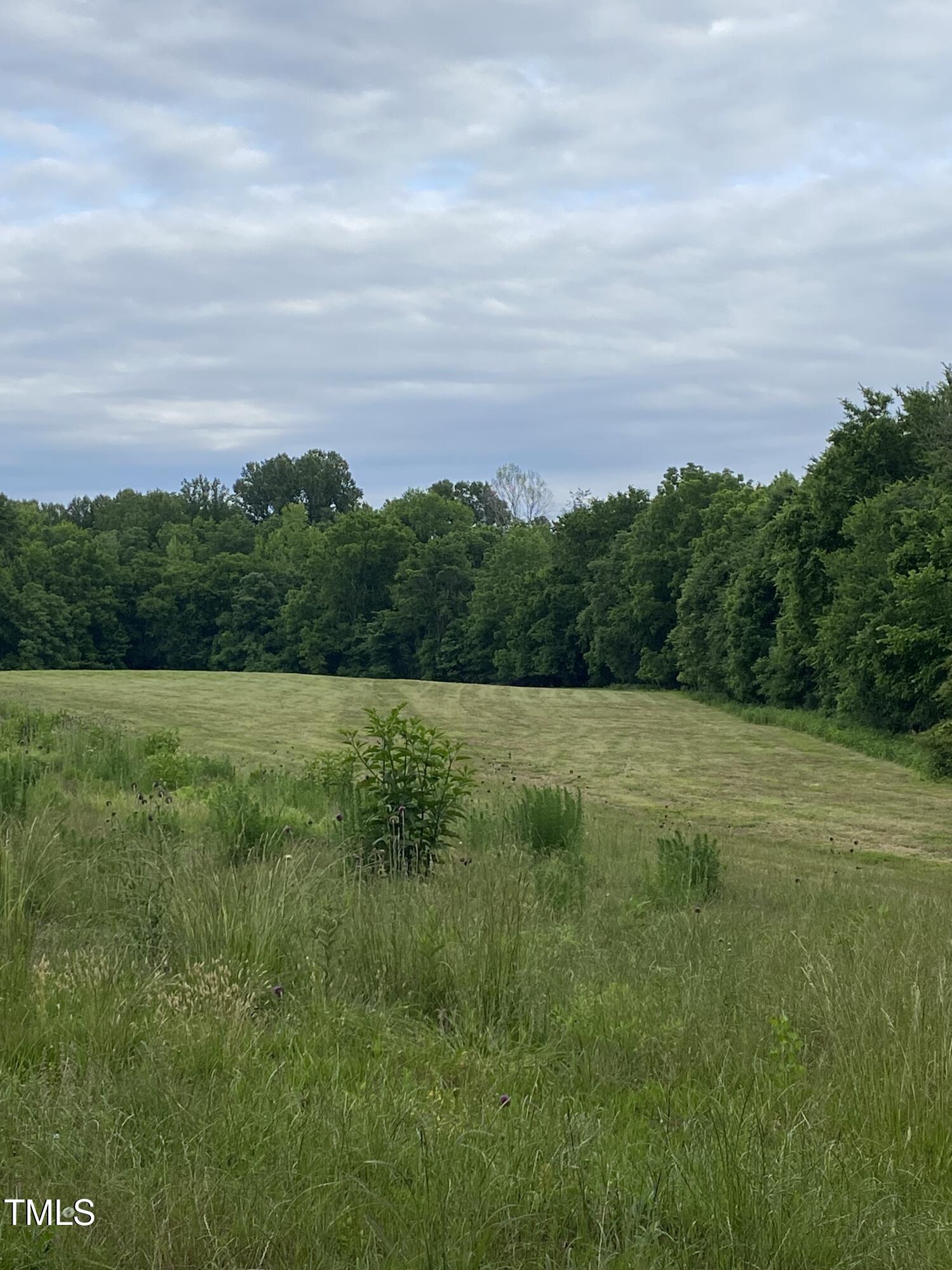 5503 Nc 57 Lot 1 Property Photo 10