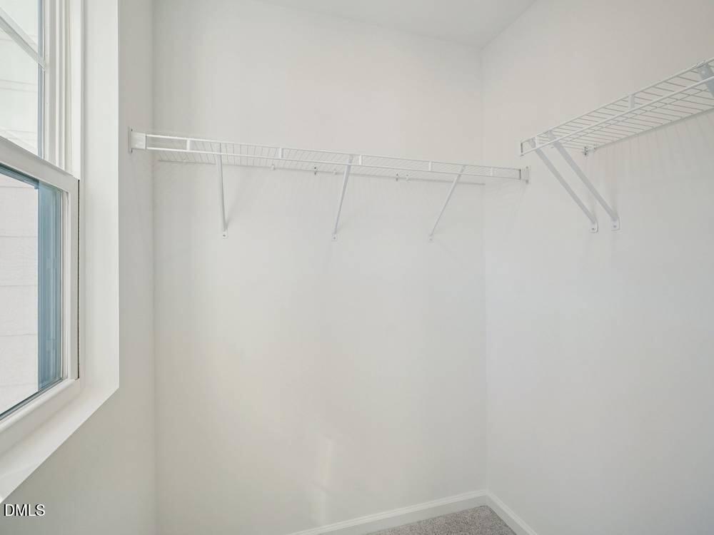3101 White Blossom Court Savannah - 3109 Property Photo 12