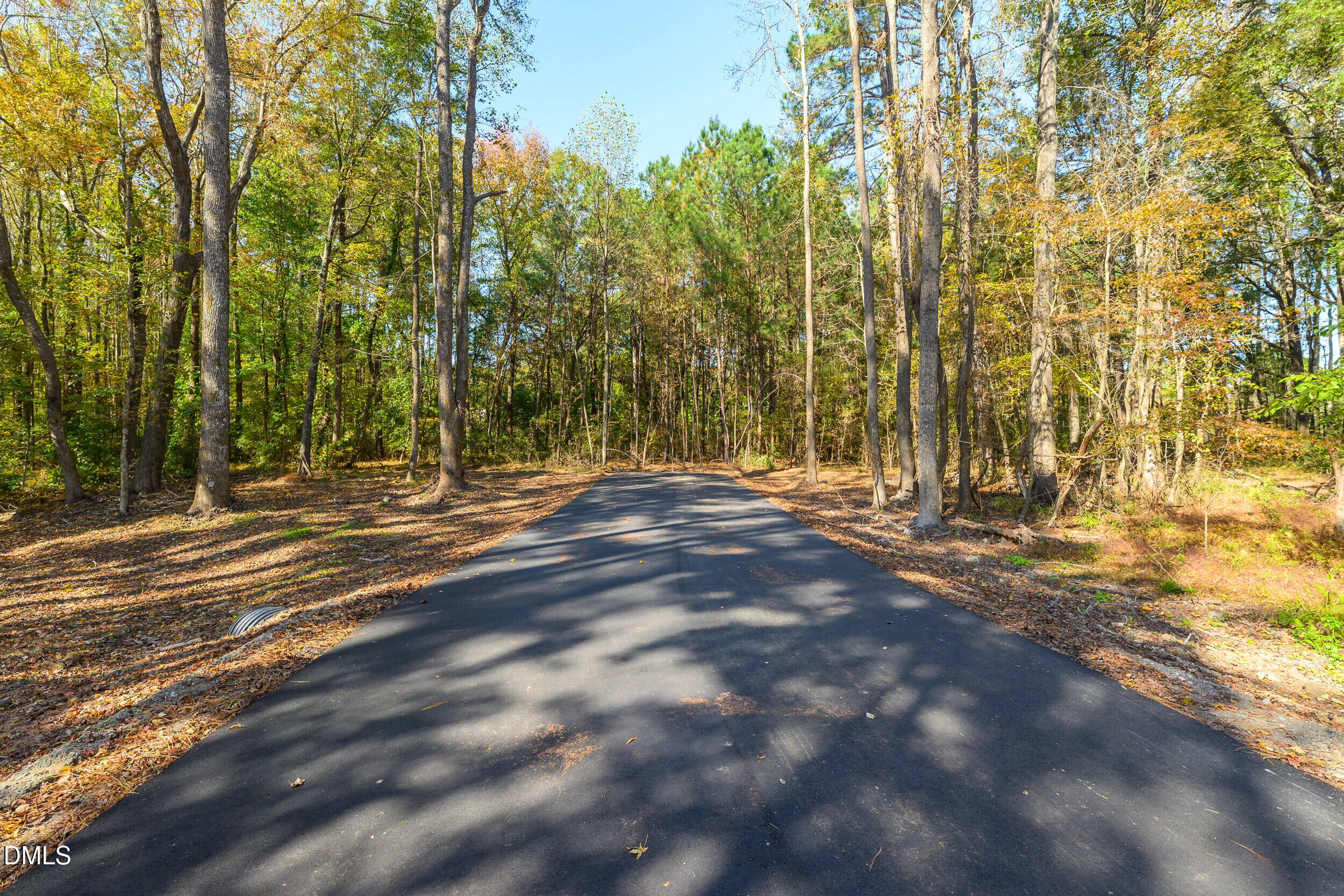 1210 Lake Wendell Road Property Photo 4