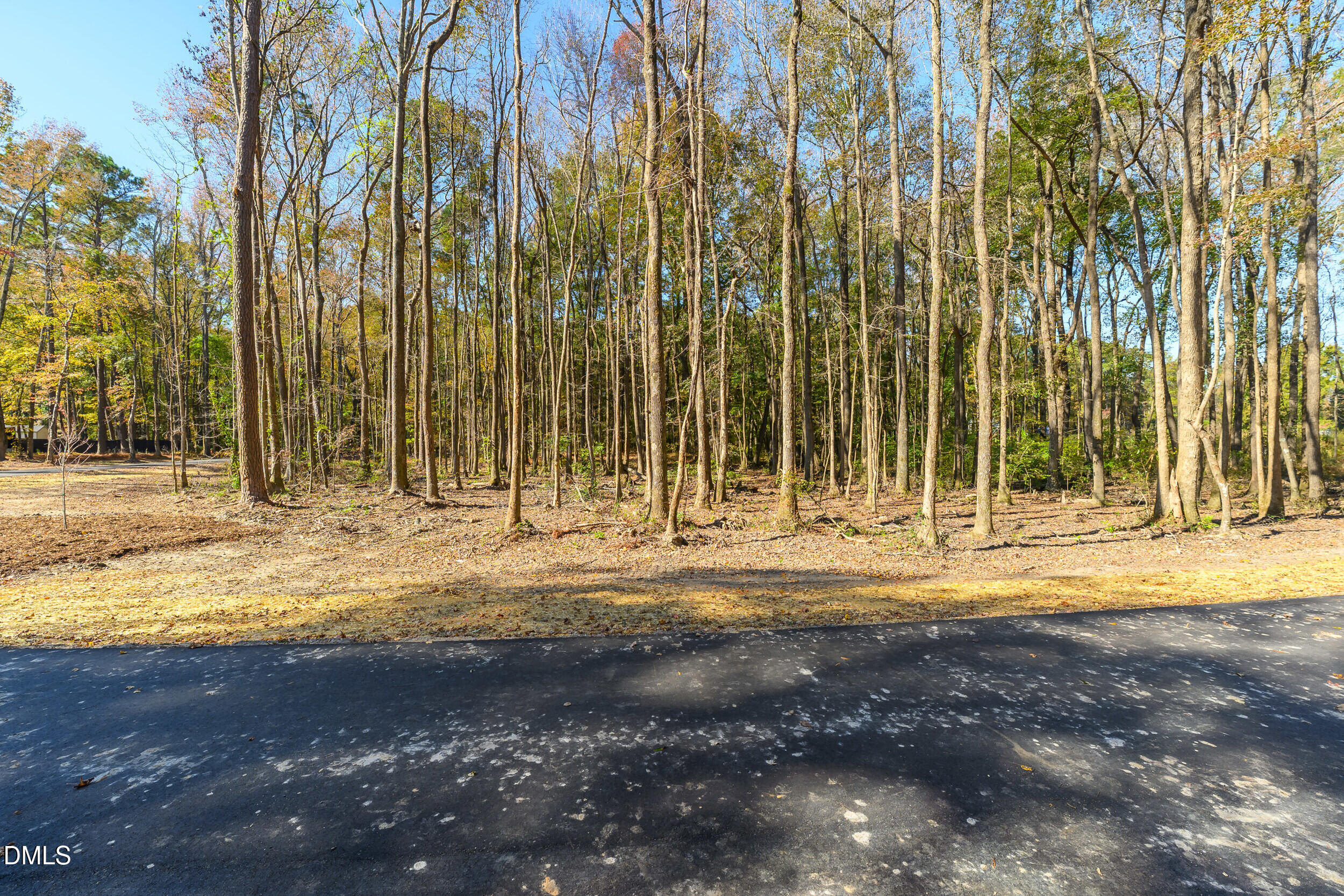 1210 Lake Wendell Road Property Photo 6