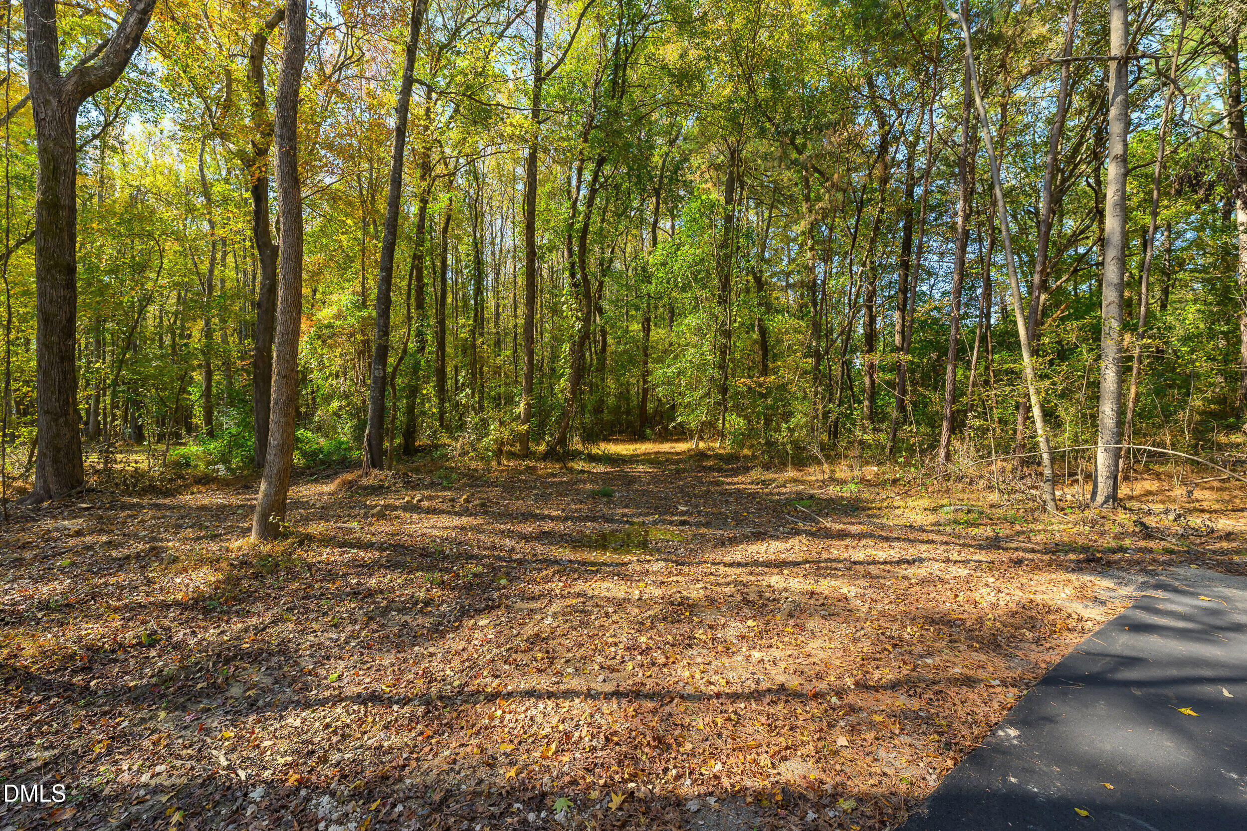 1210 Lake Wendell Road Property Photo 8