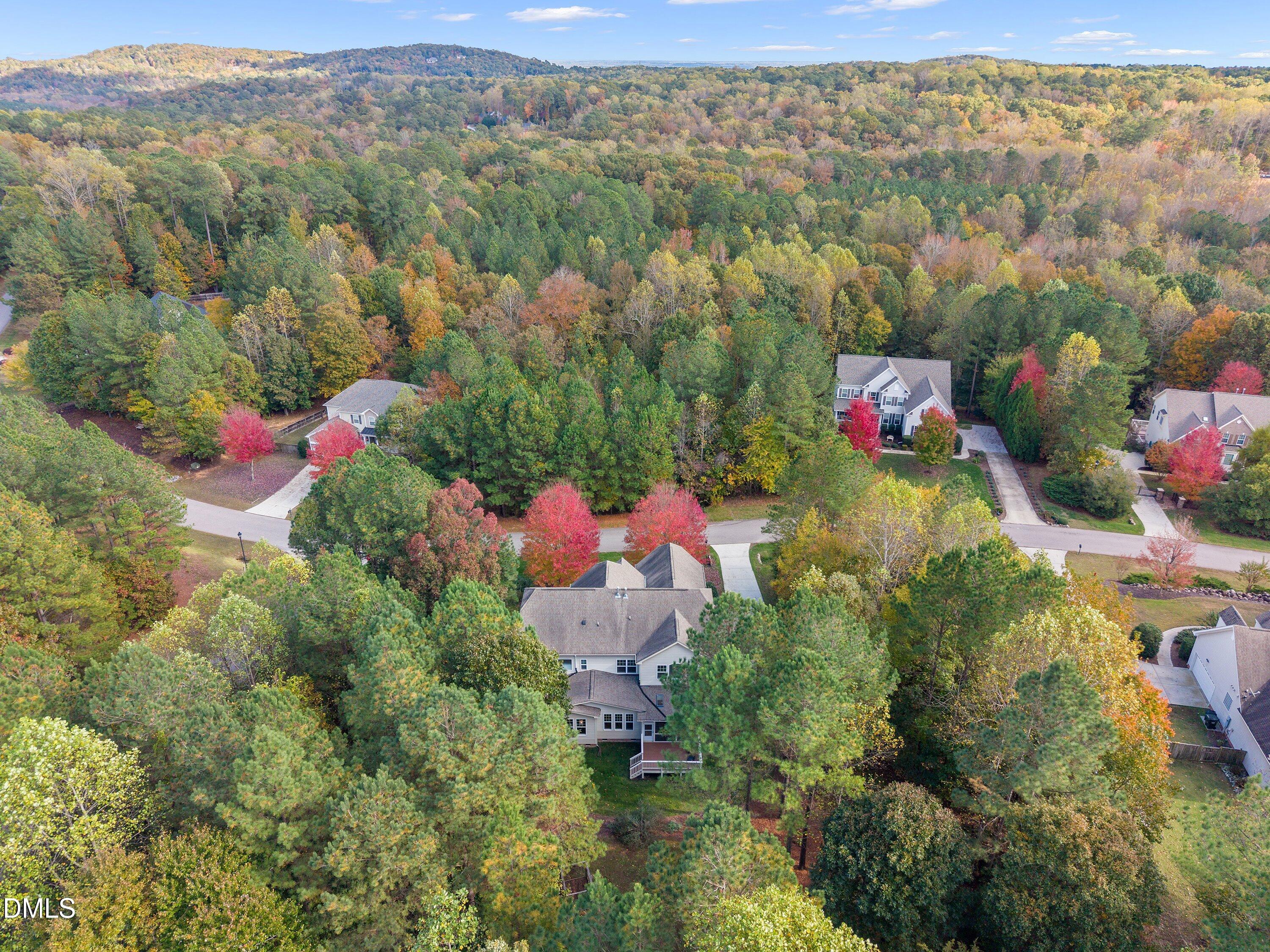 485 Legend Oaks Drive Property Photo 61