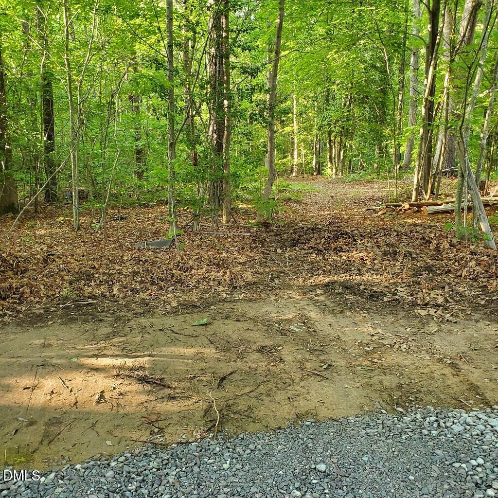 0 Steel Bridge Road Property Photo 1