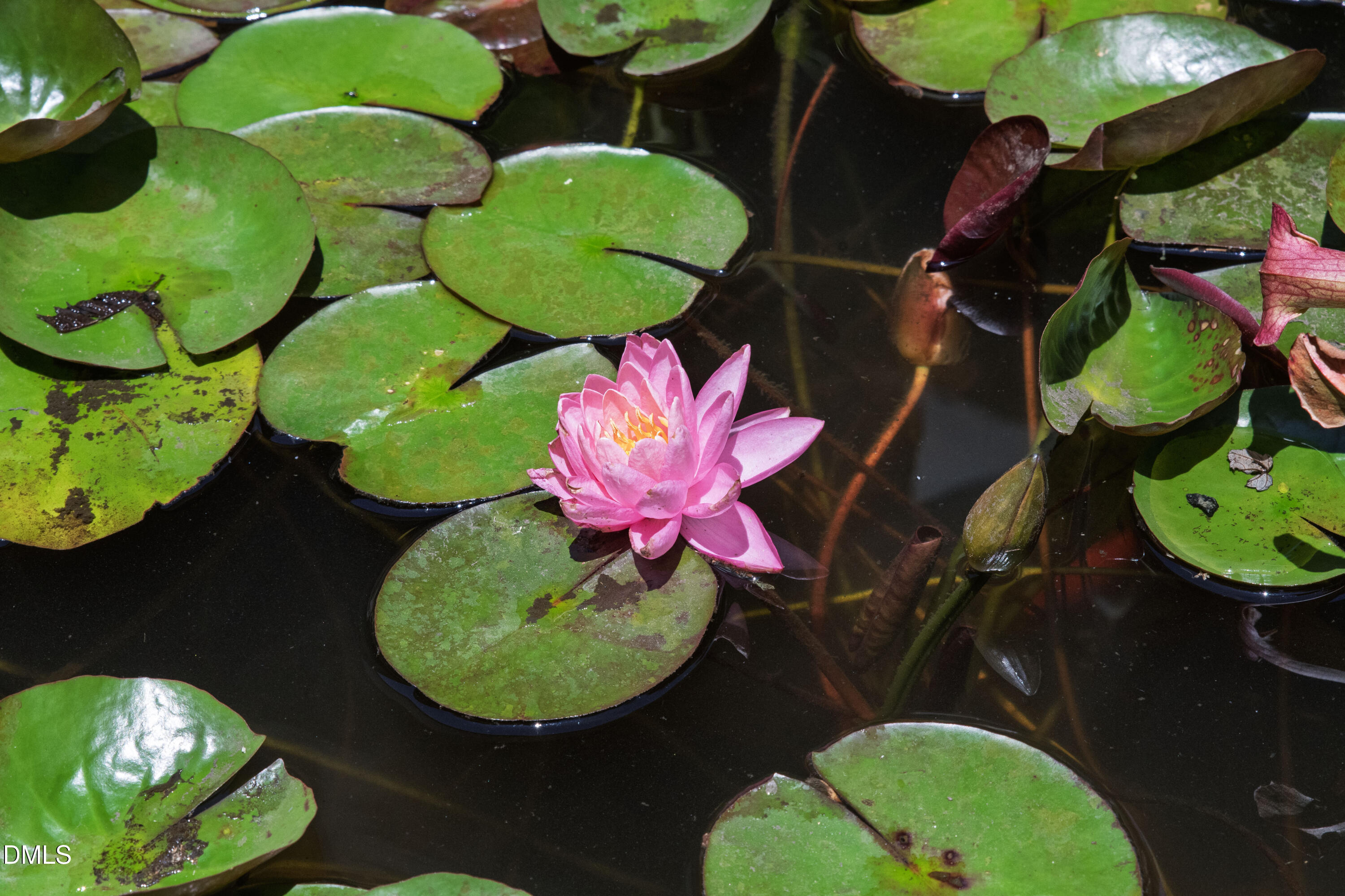 2707 Anderson Drive Property Photo 45