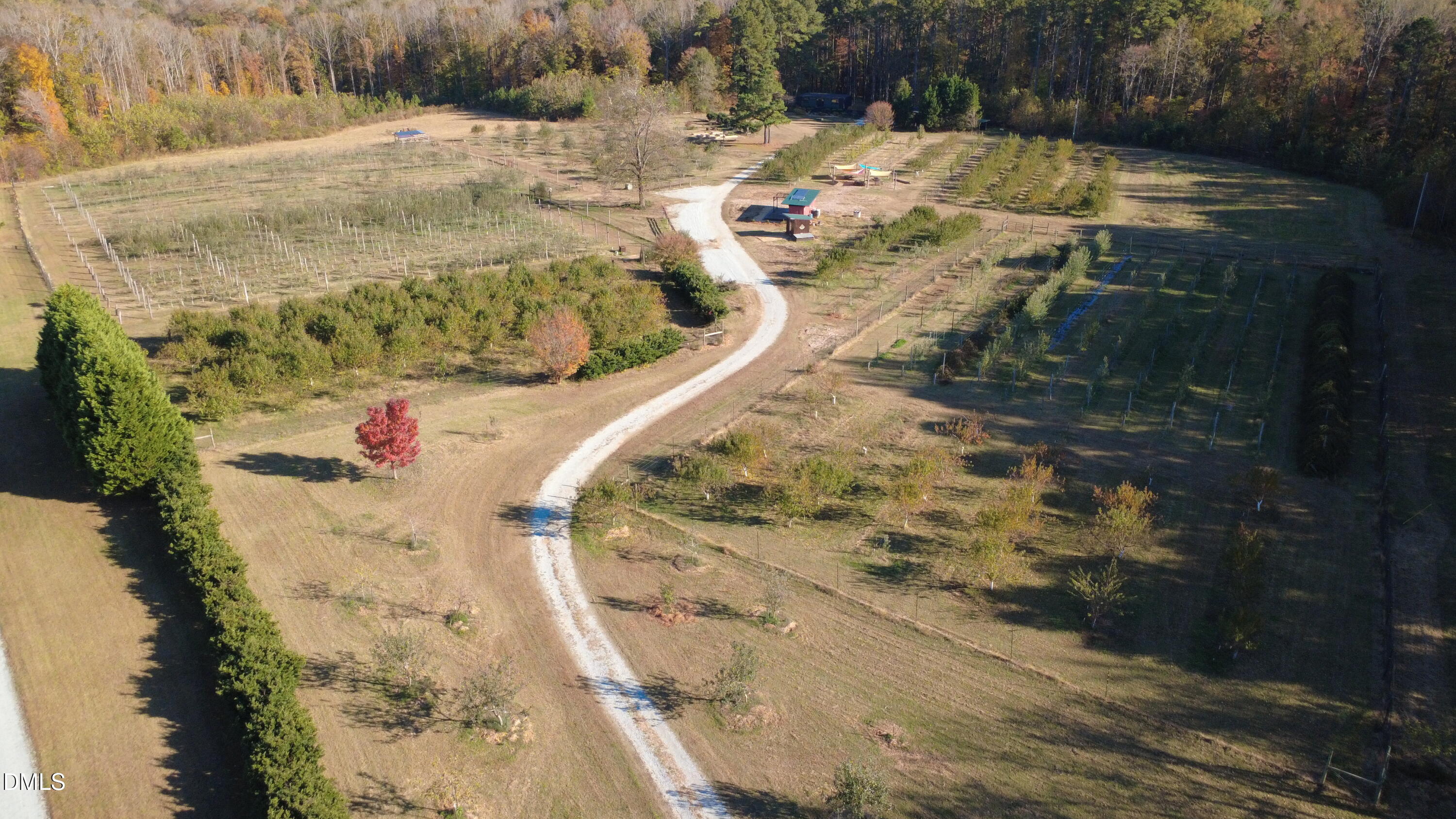 502 John Jones Road Property Photo 6