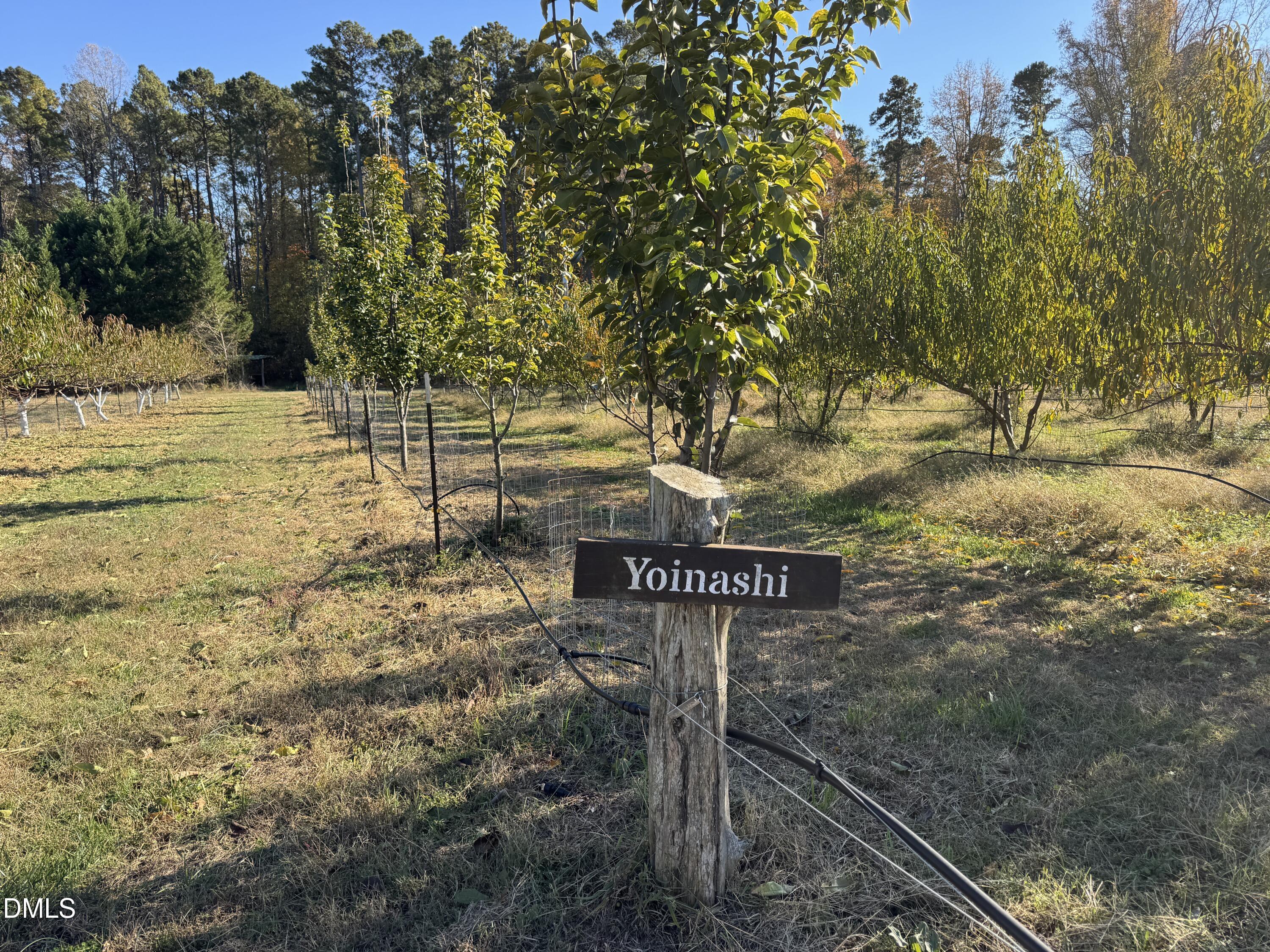 502 John Jones Road Property Photo 7