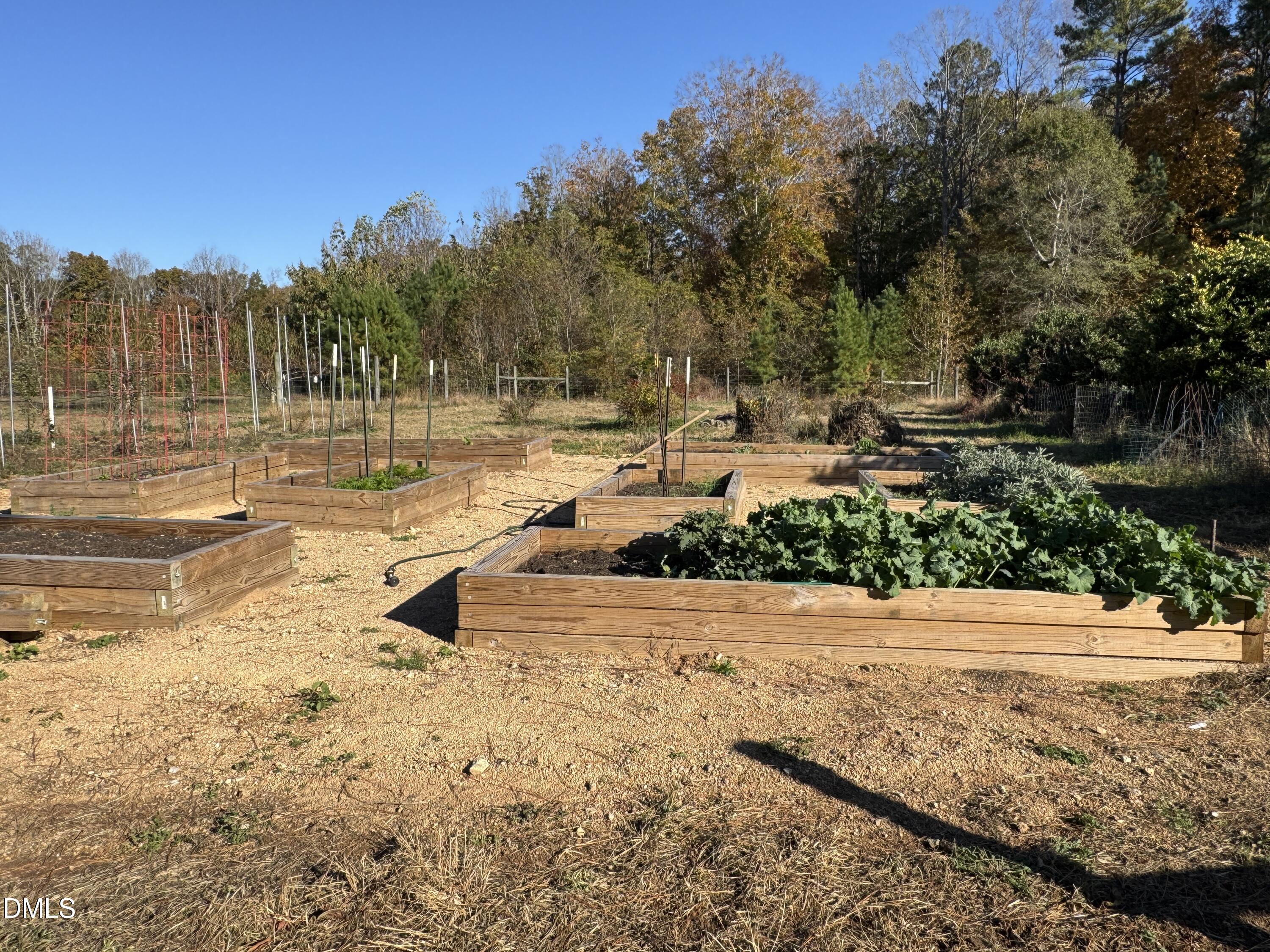 502 John Jones Road Property Photo 12