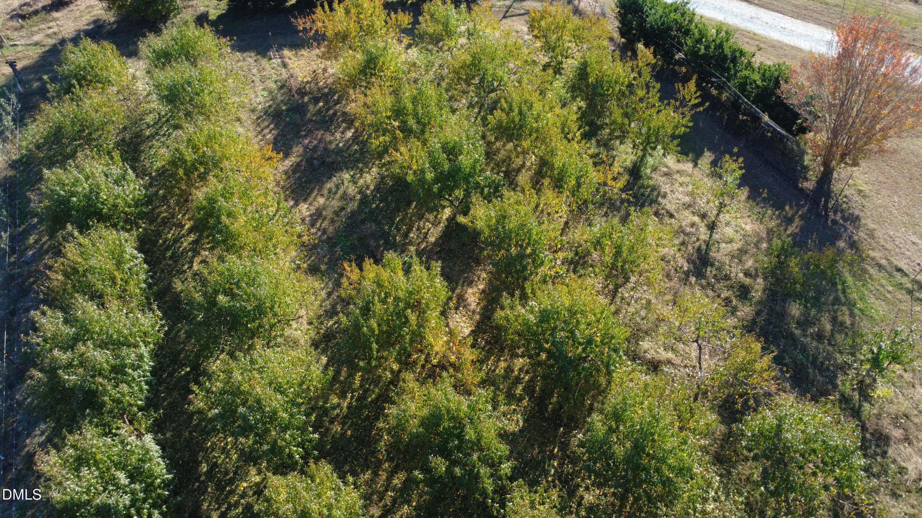 502 John Jones Road Property Photo 13