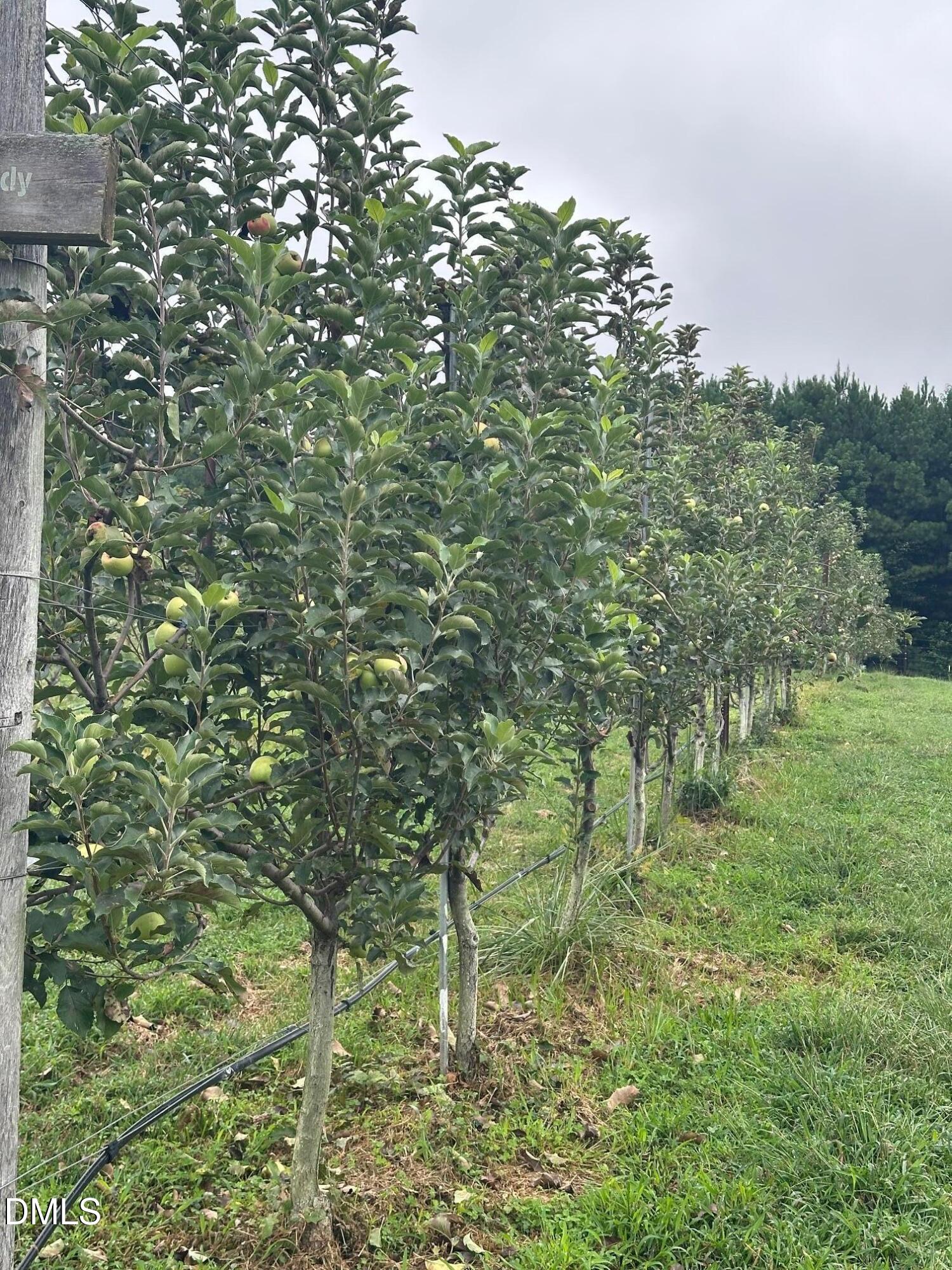 502 John Jones Road Property Photo 17