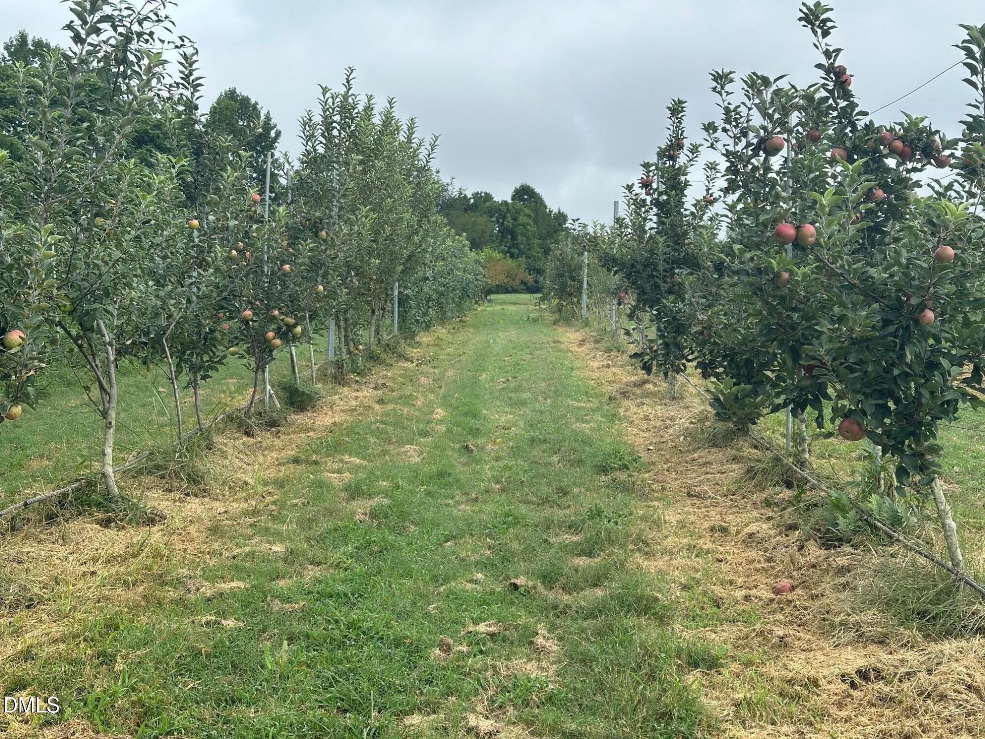 502 John Jones Road Property Photo 19