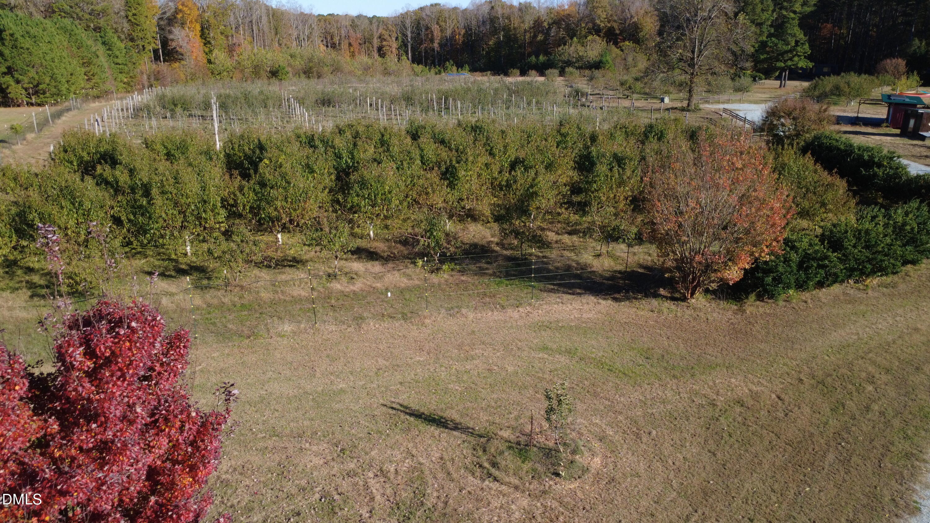 502 John Jones Road Property Photo 24