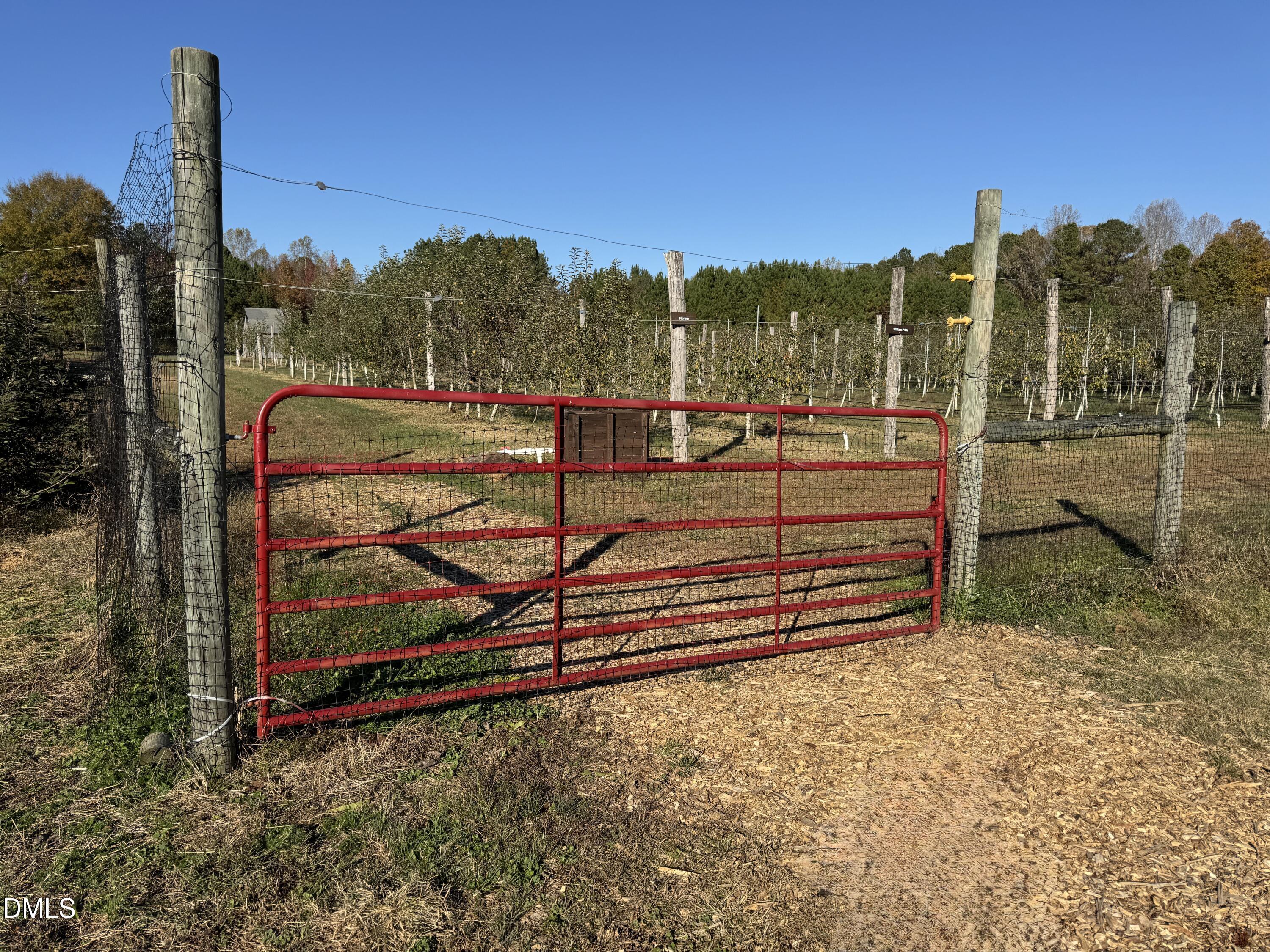 502 John Jones Road Property Photo 25