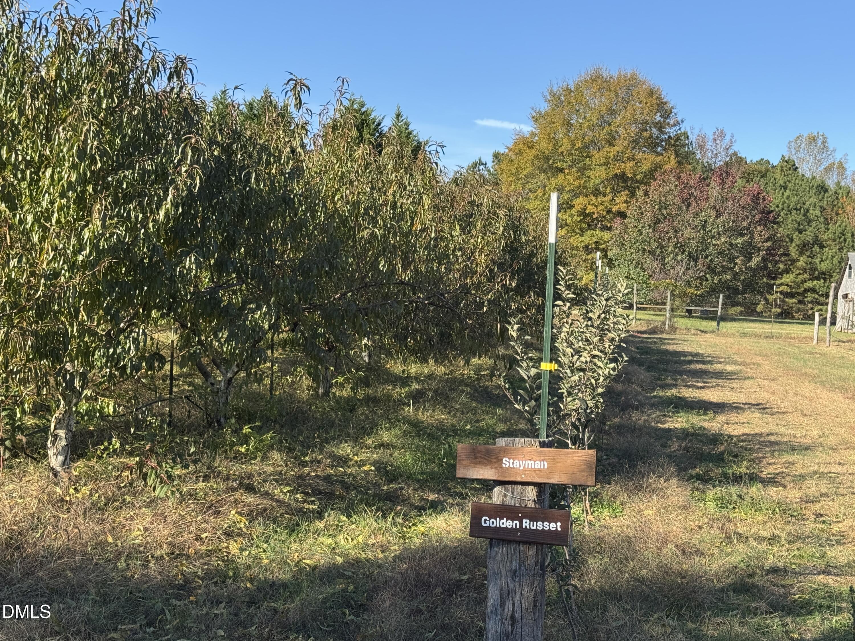 502 John Jones Road Property Photo 26