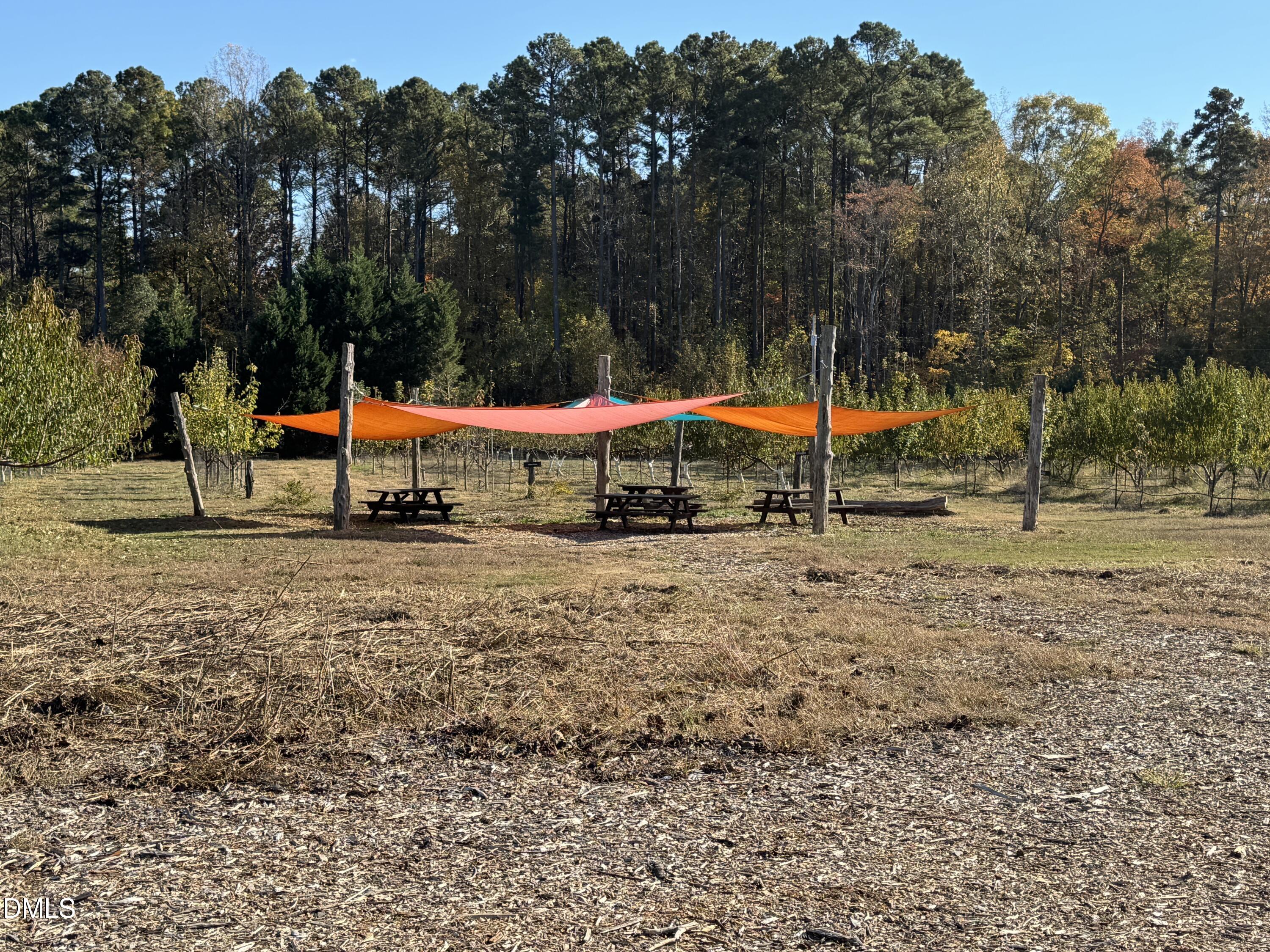 502 John Jones Road Property Photo 29