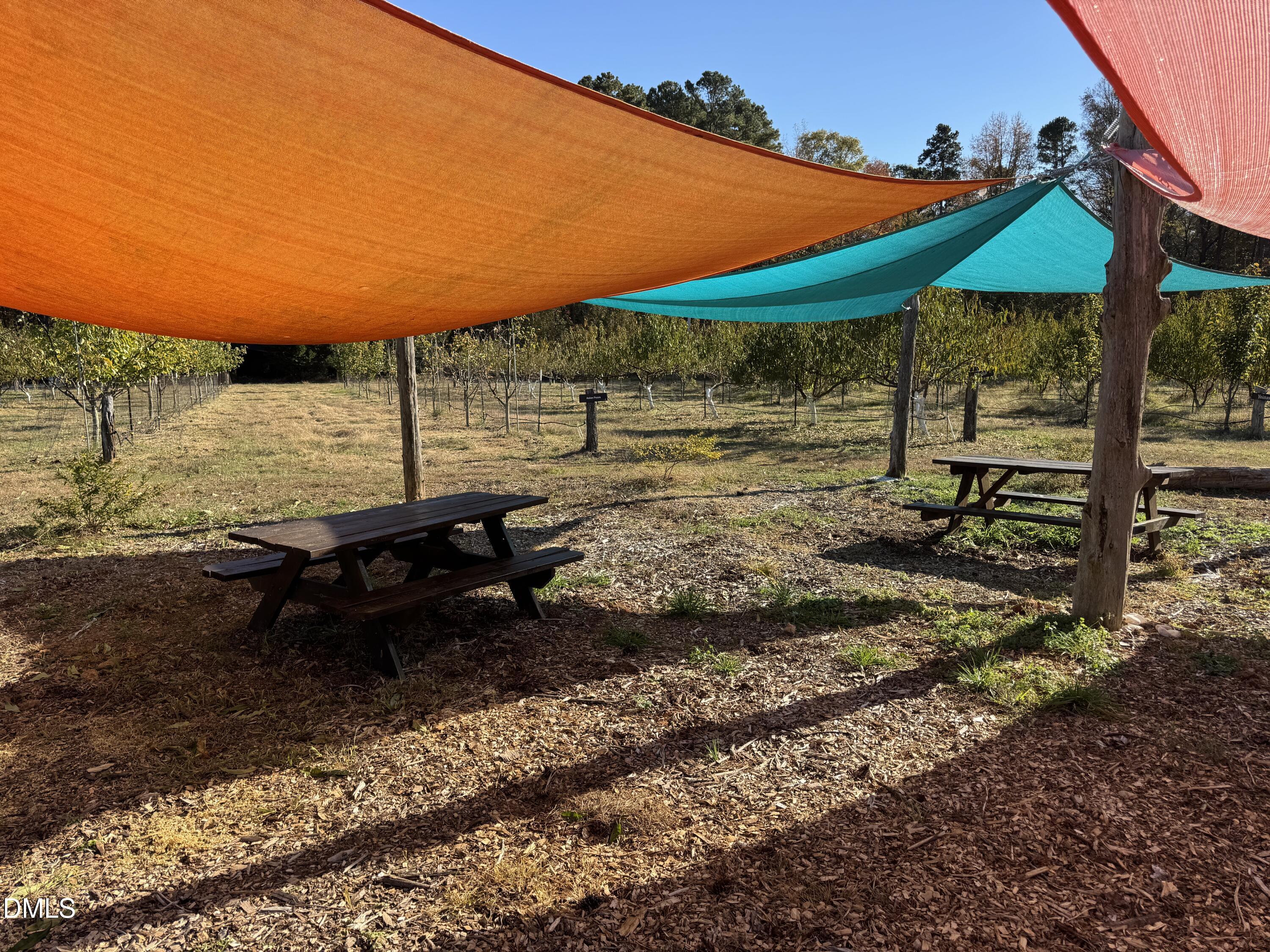 502 John Jones Road Property Photo 30