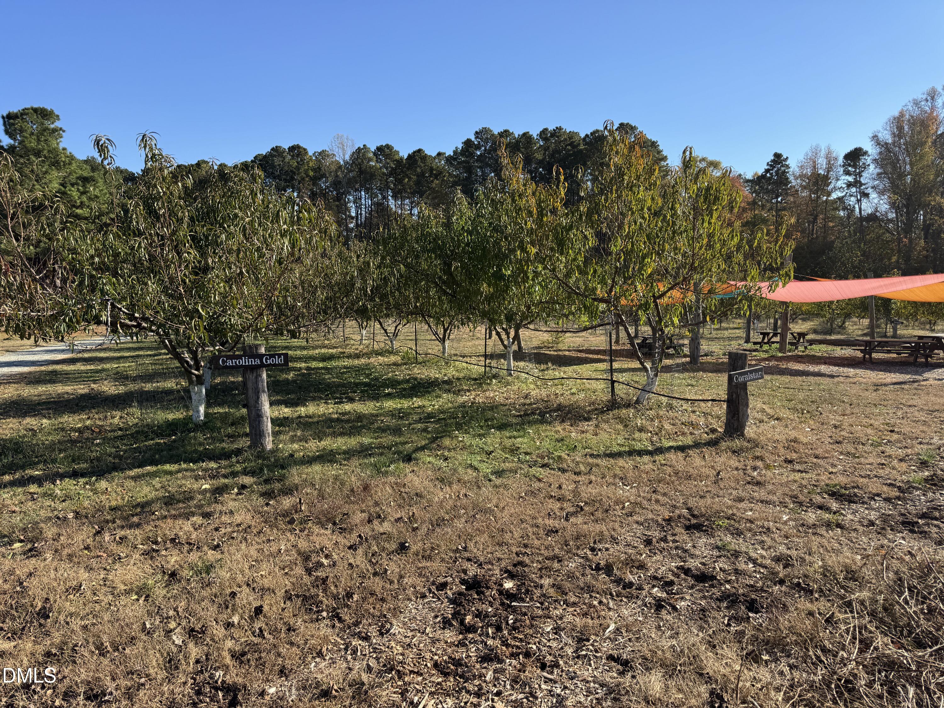 502 John Jones Road Property Photo 31