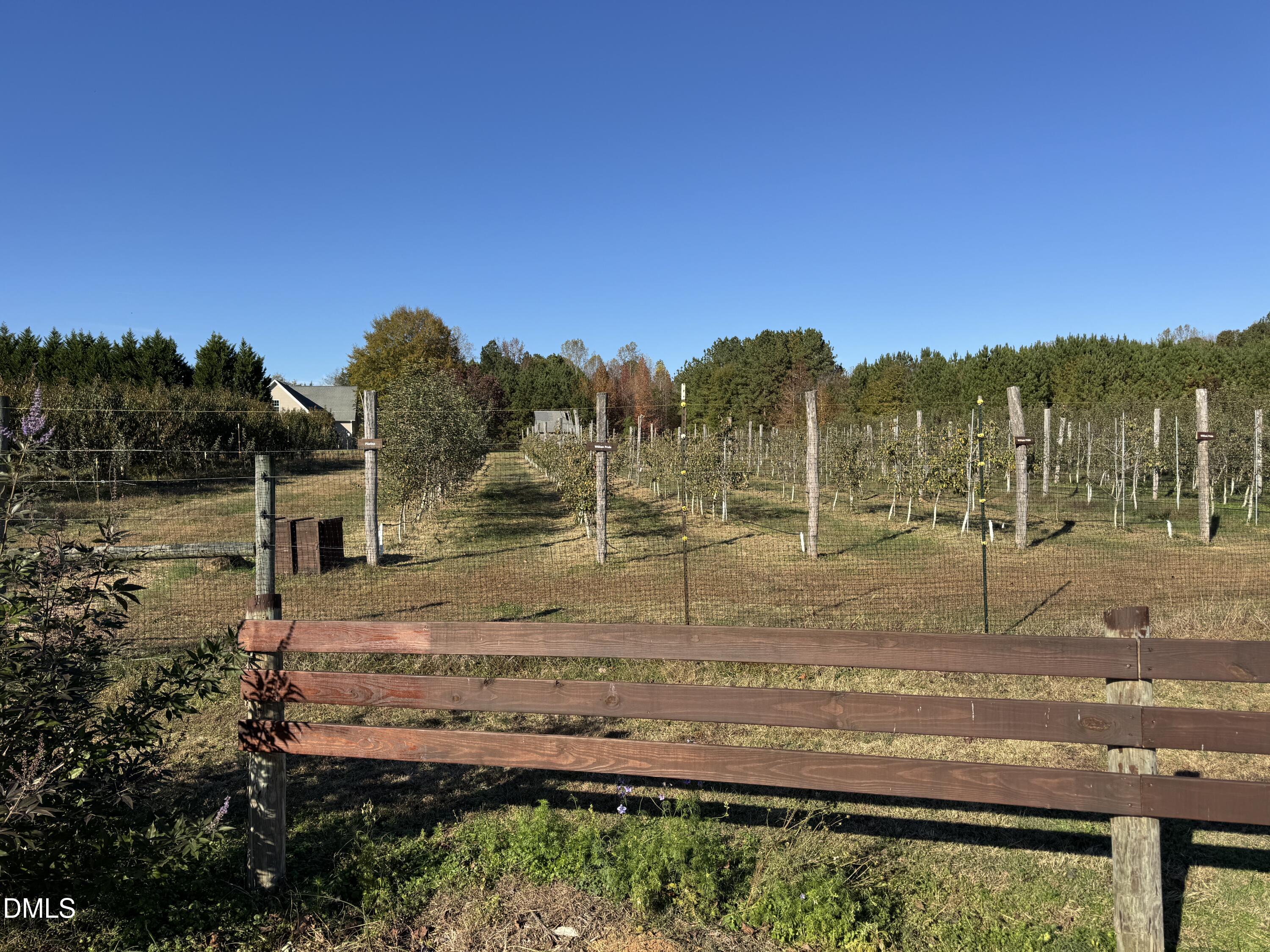 502 John Jones Road Property Photo 33