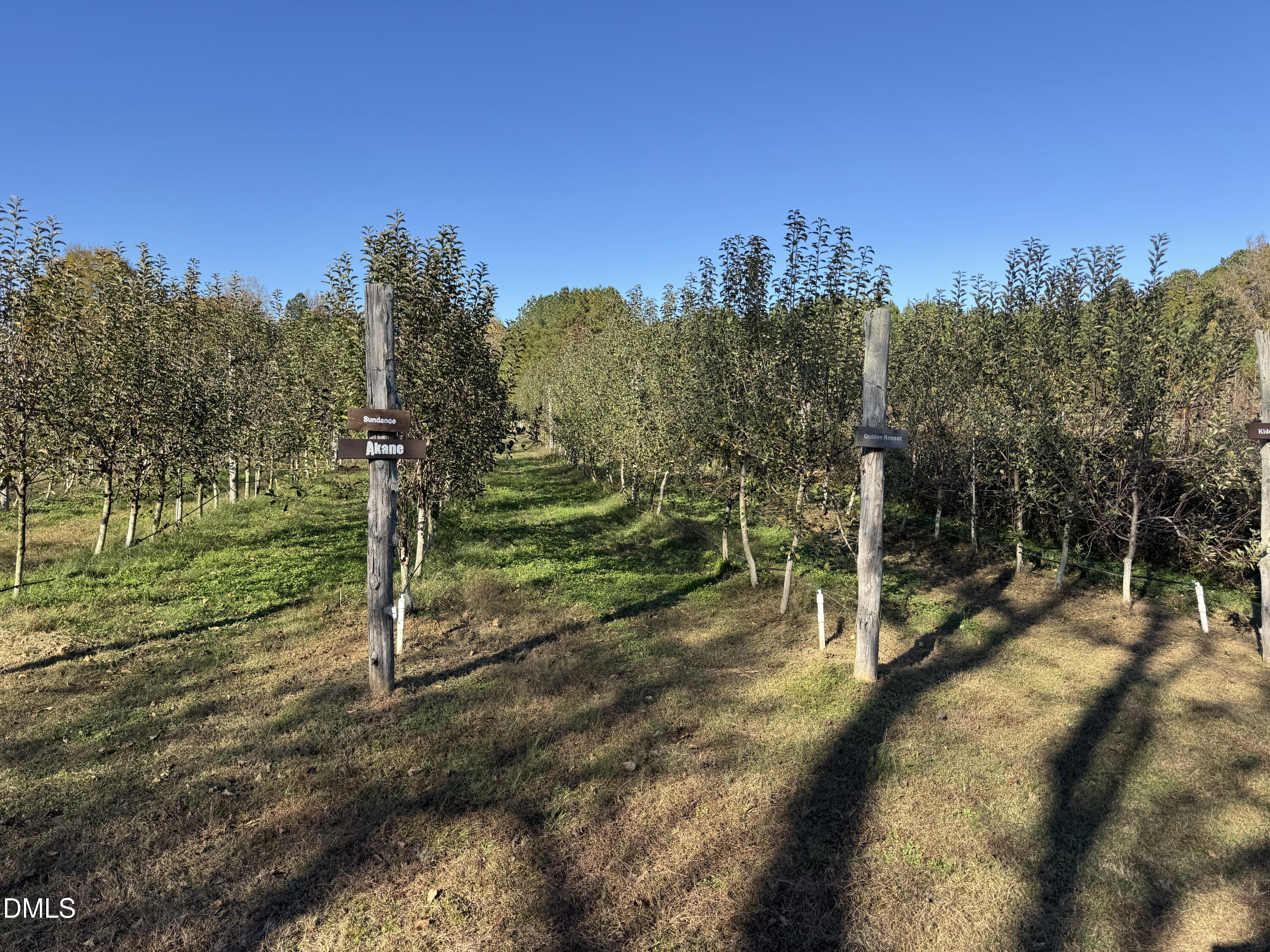 502 John Jones Road Property Photo 34