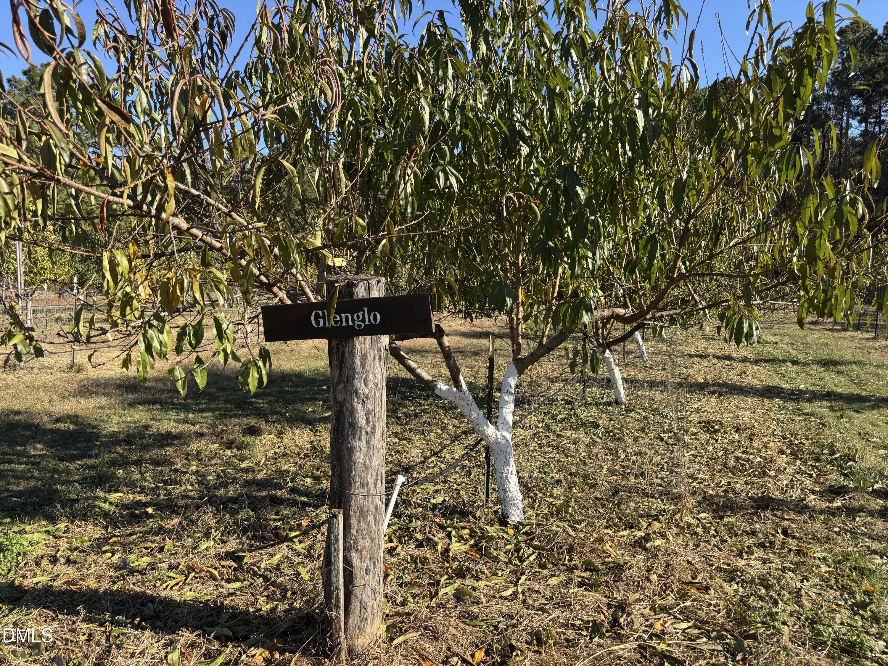 502 John Jones Road Property Photo 35