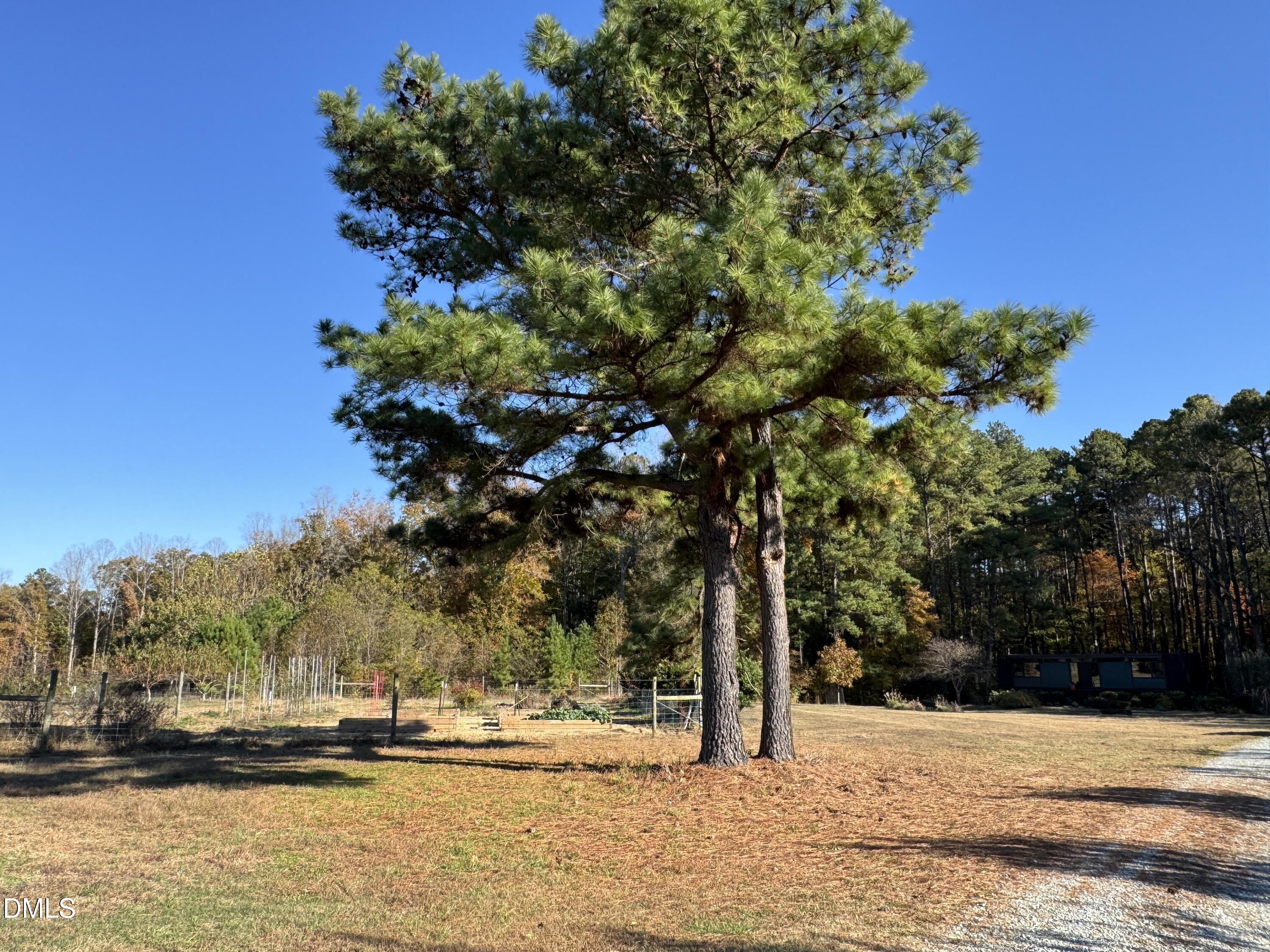 502 John Jones Road Property Photo 37