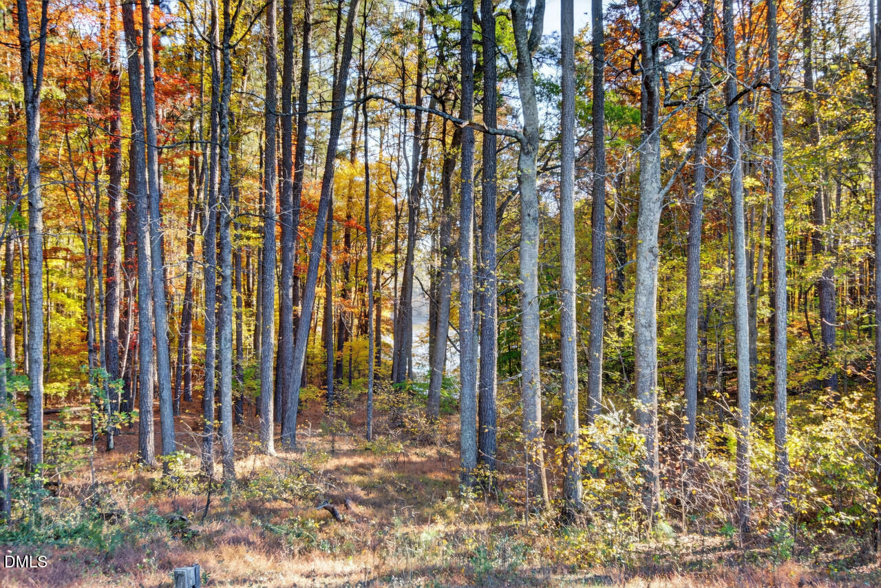 502 John Jones Road Property Photo 58