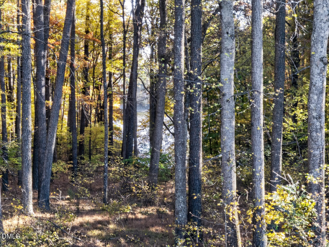 502 John Jones Road Property Photo 89