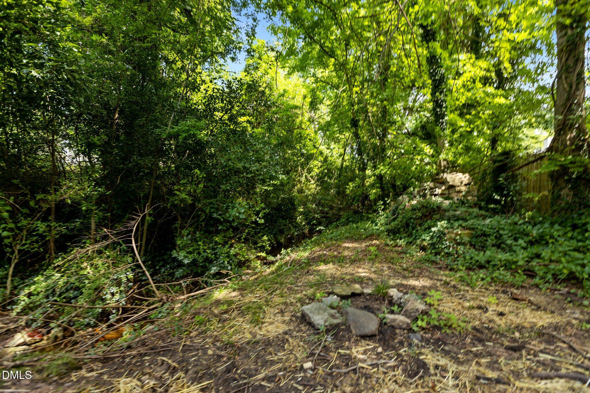 1006 Proctor Street Property Photo 29