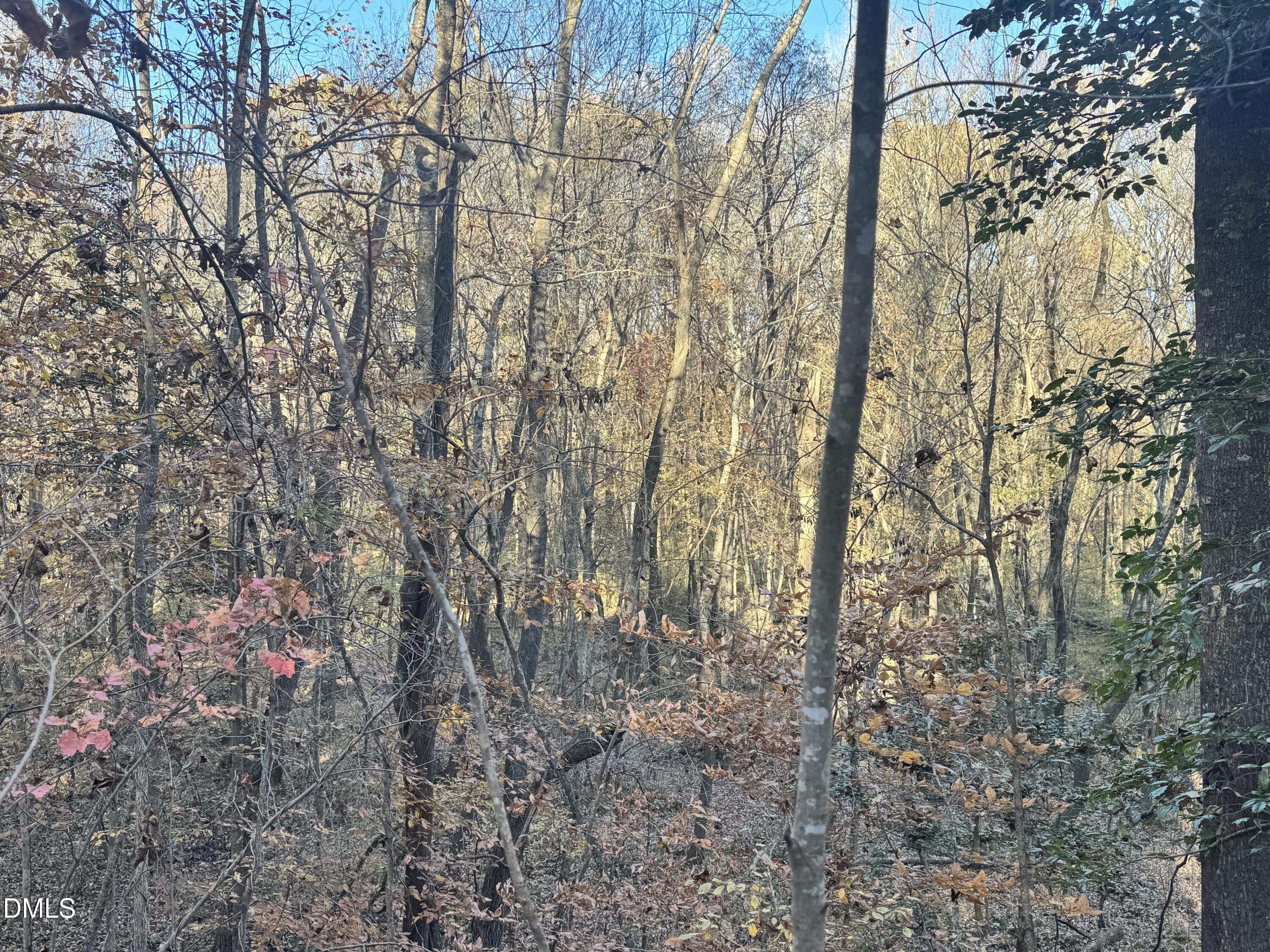 1715 Fire Depart Road Property Photo 2