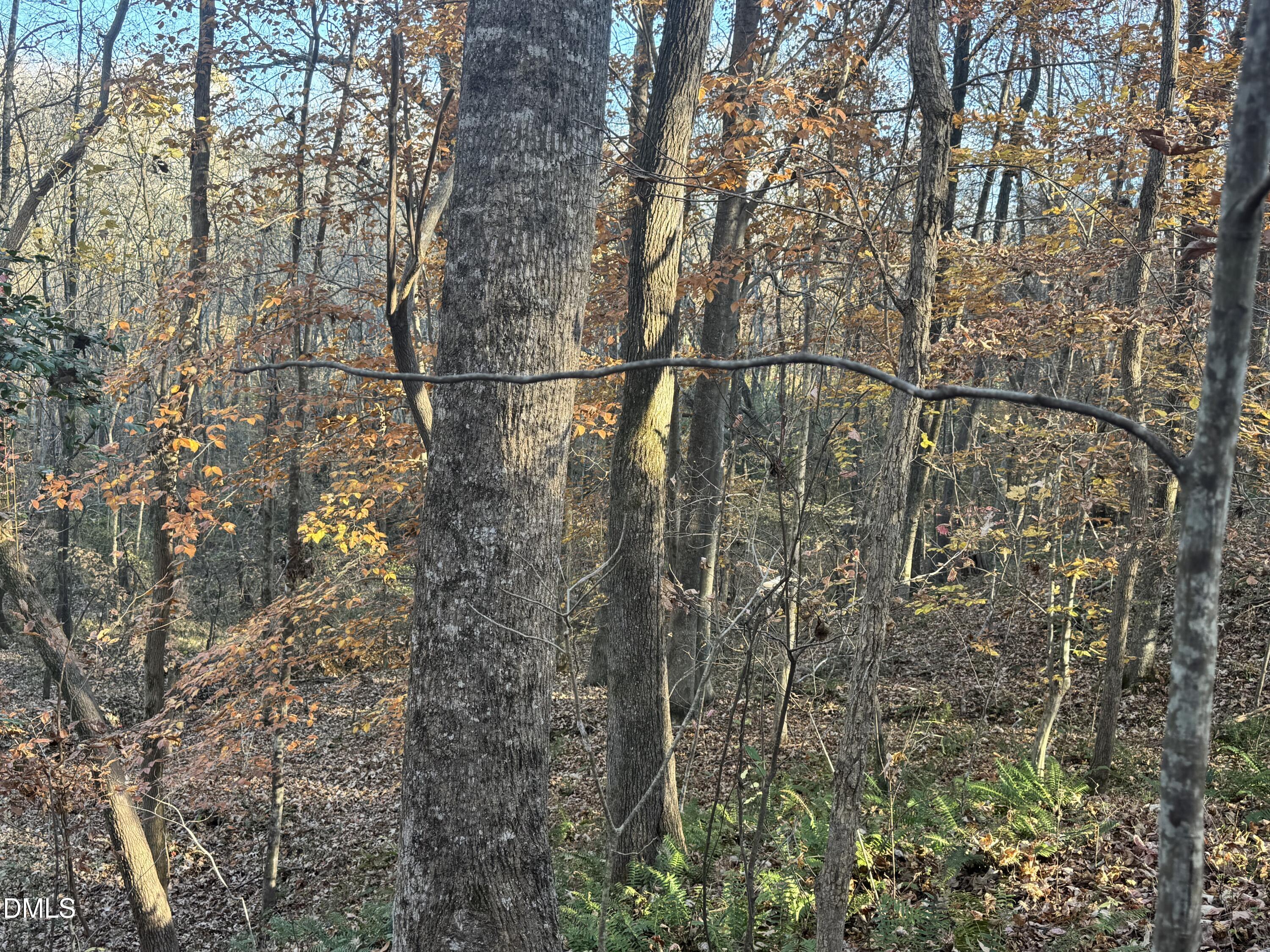 1715 Fire Depart Road Property Photo 6