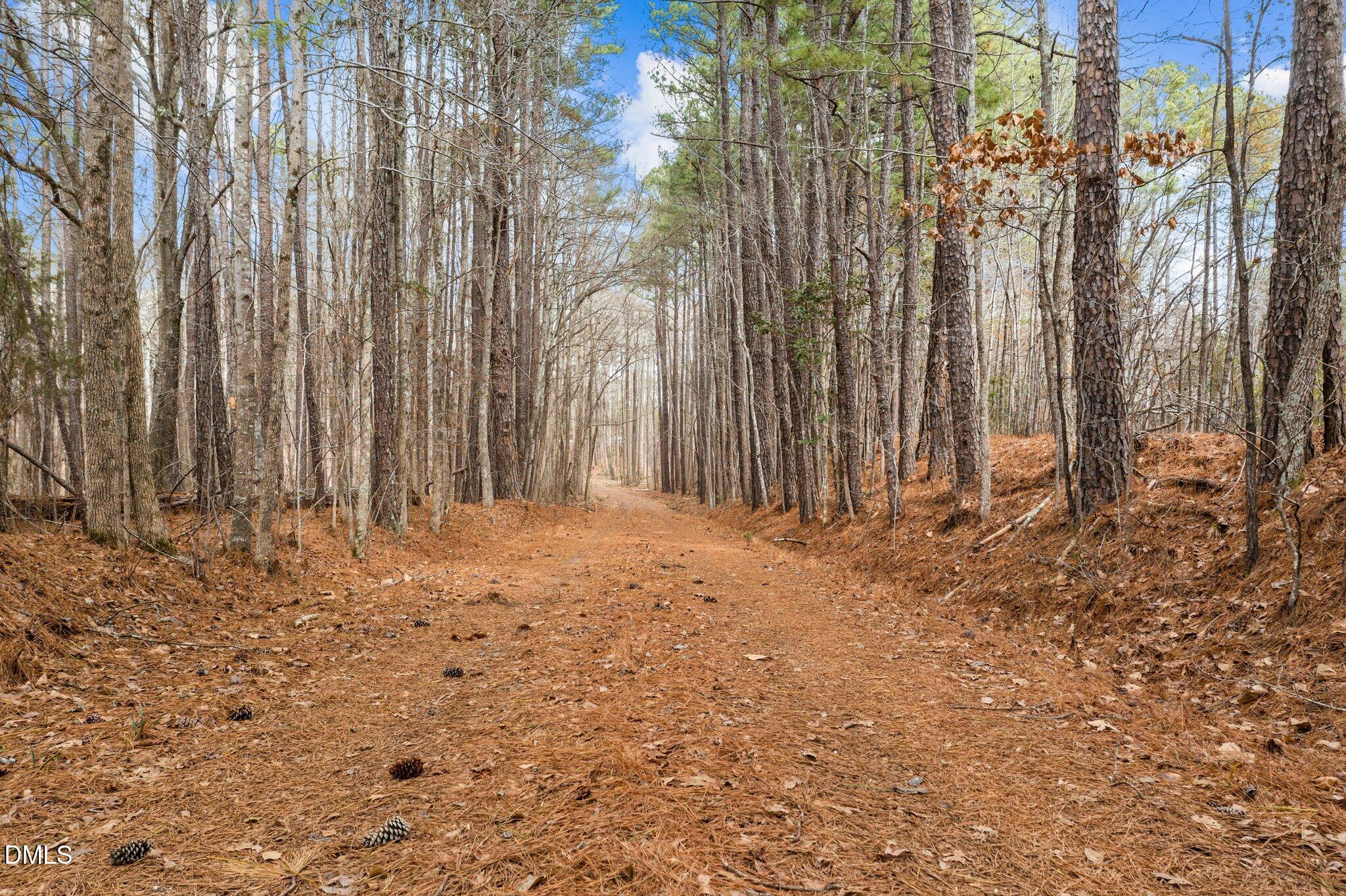 2809 Us-64 Property Photo 13