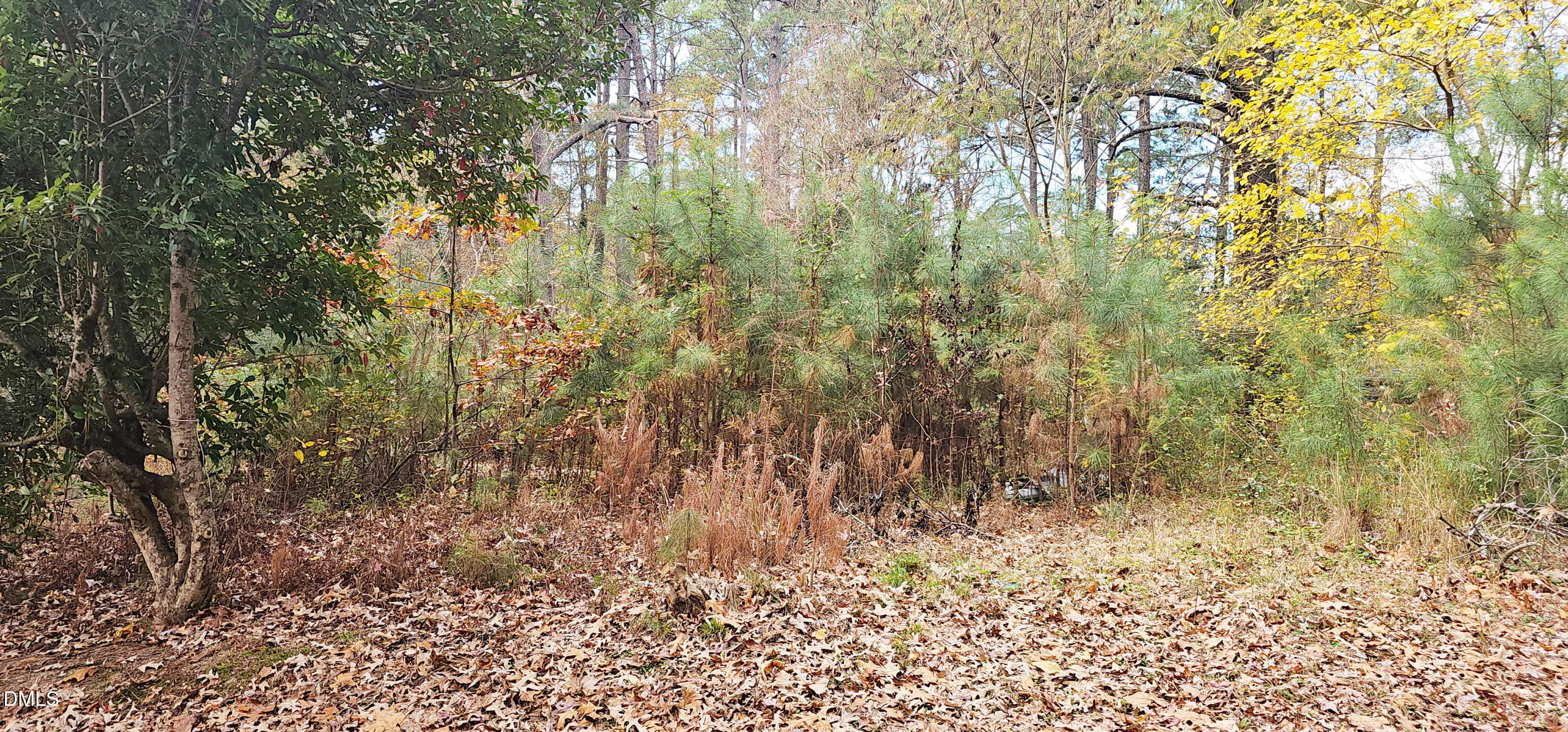 6026 Colonial Drive Property Photo 5