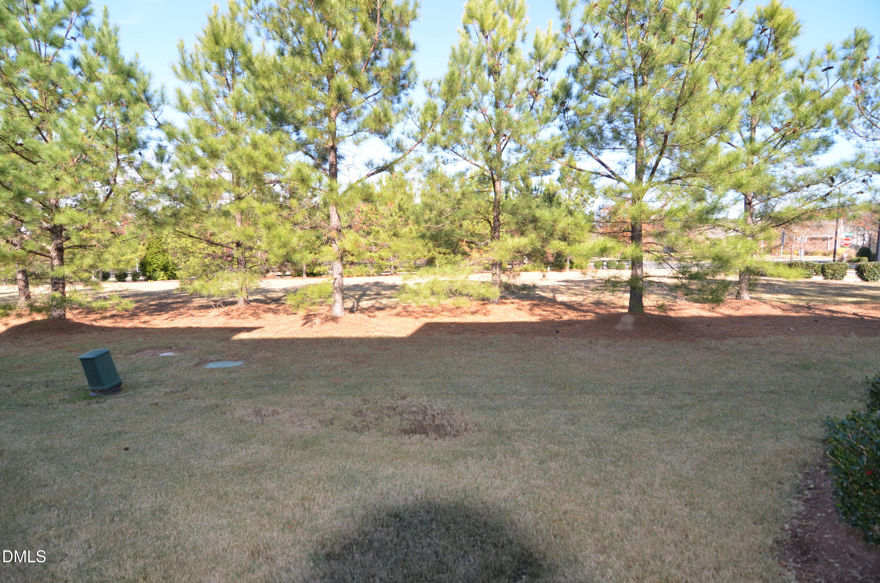 204 Shale Creek Drive Property Photo 29