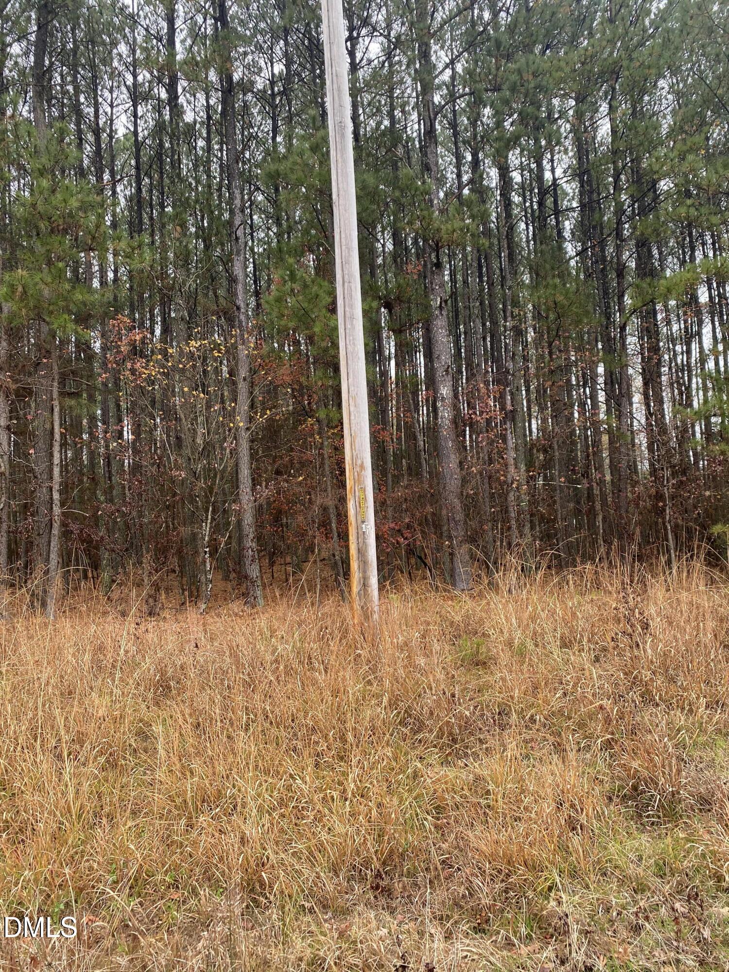 3350 Coley Road Property Photo 3