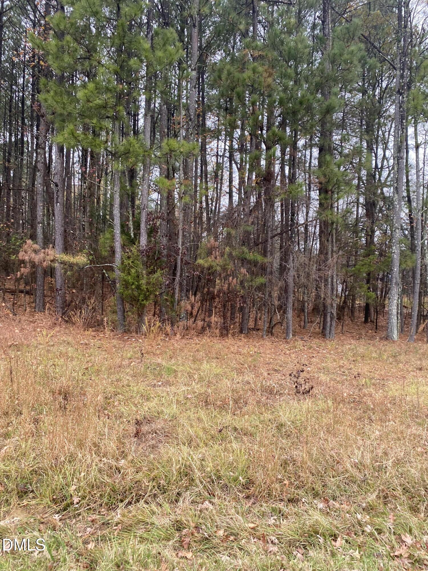 3350 Coley Road Property Photo 5