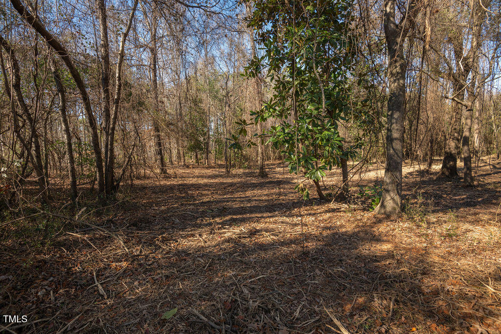 4258 Us-301 Property Photo 9