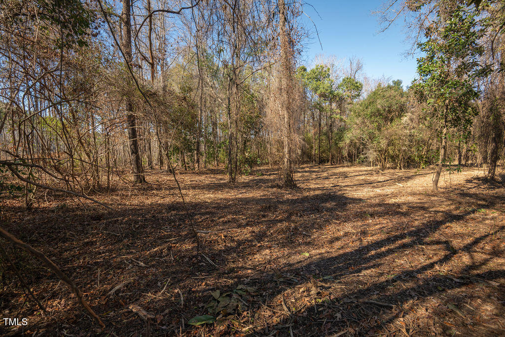 4258 Us-301 Property Photo 11