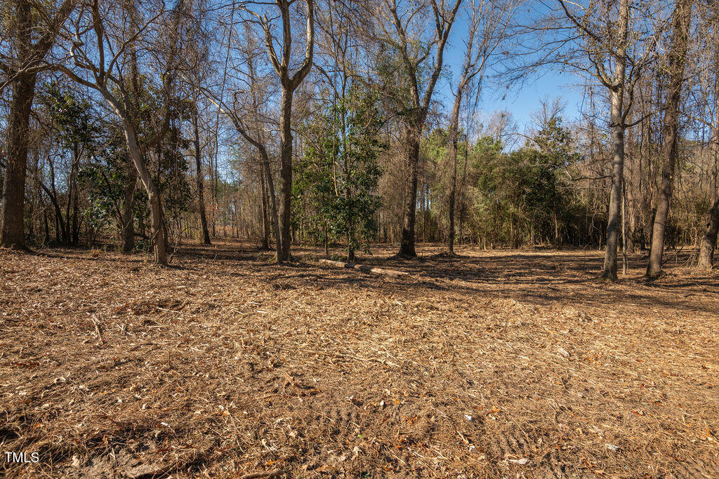 4258 Us-301 Property Photo 16