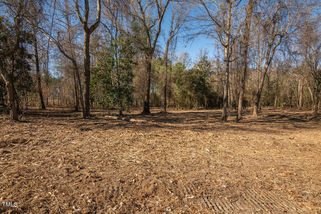 4258 Us-301 Property Photo 19