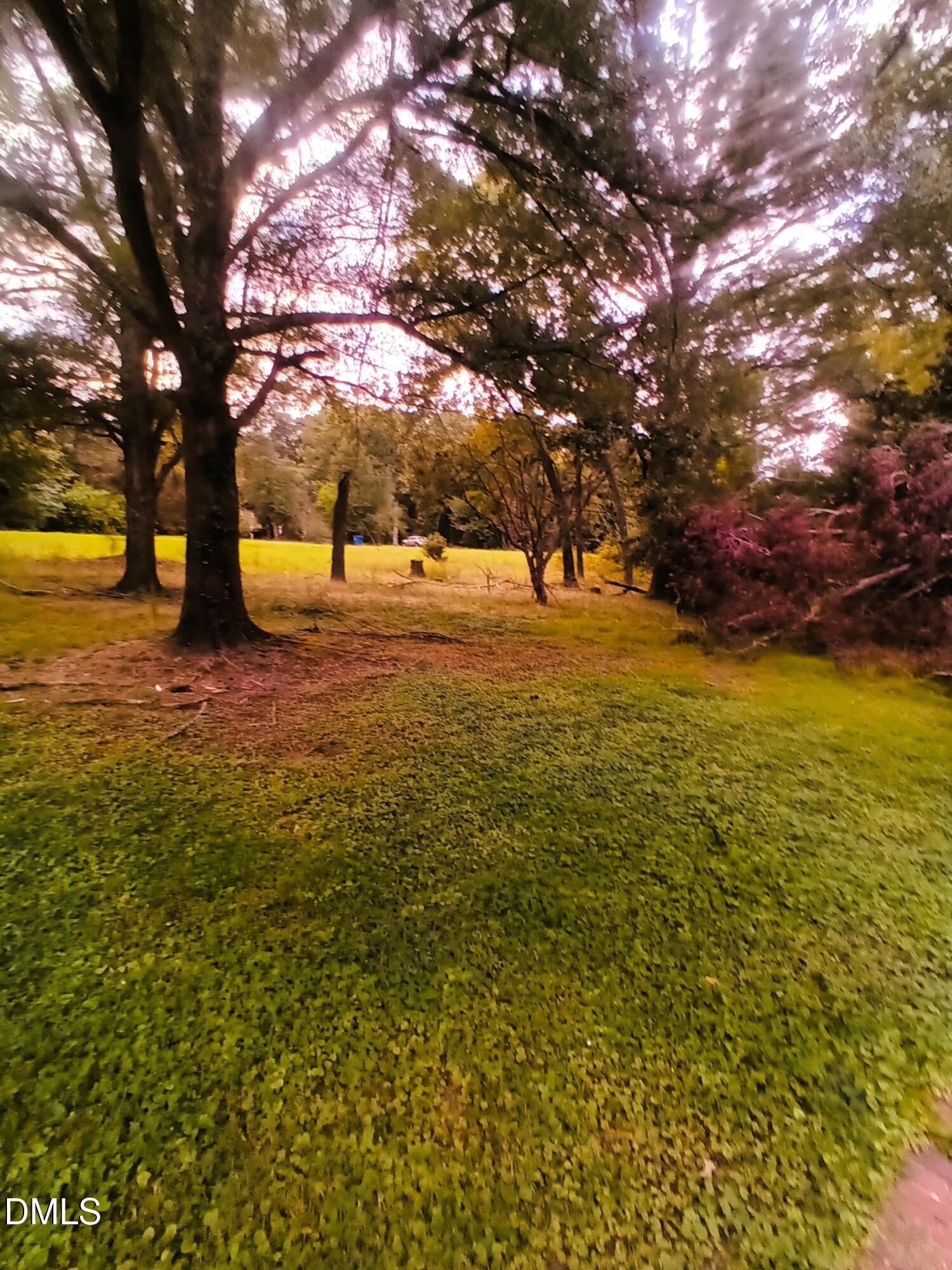 7856 Boston Road Property Photo 7