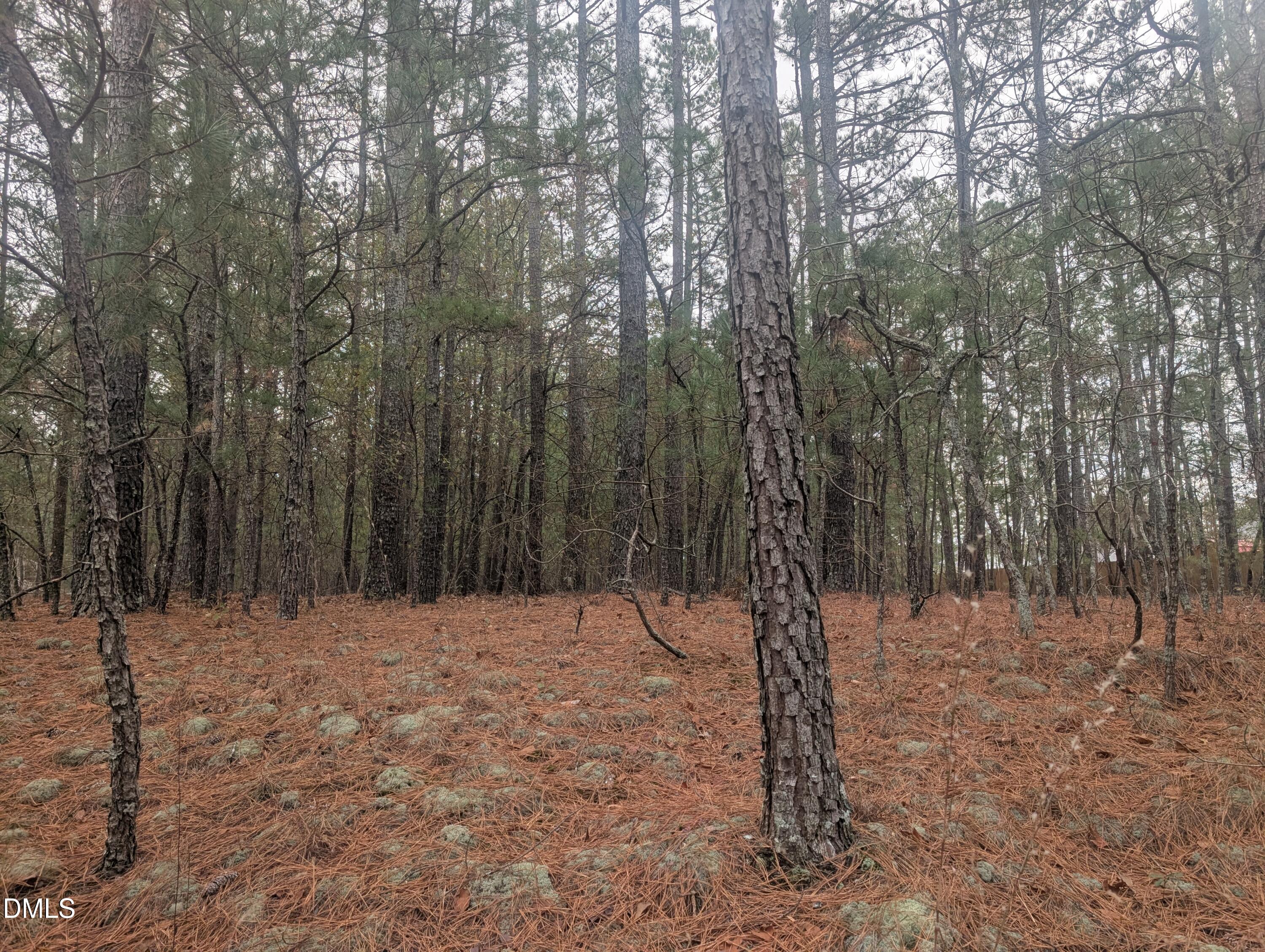 13 Saw Grass Road Property Photo 1