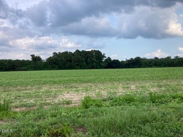 0 Waycross Road Property Photo 2