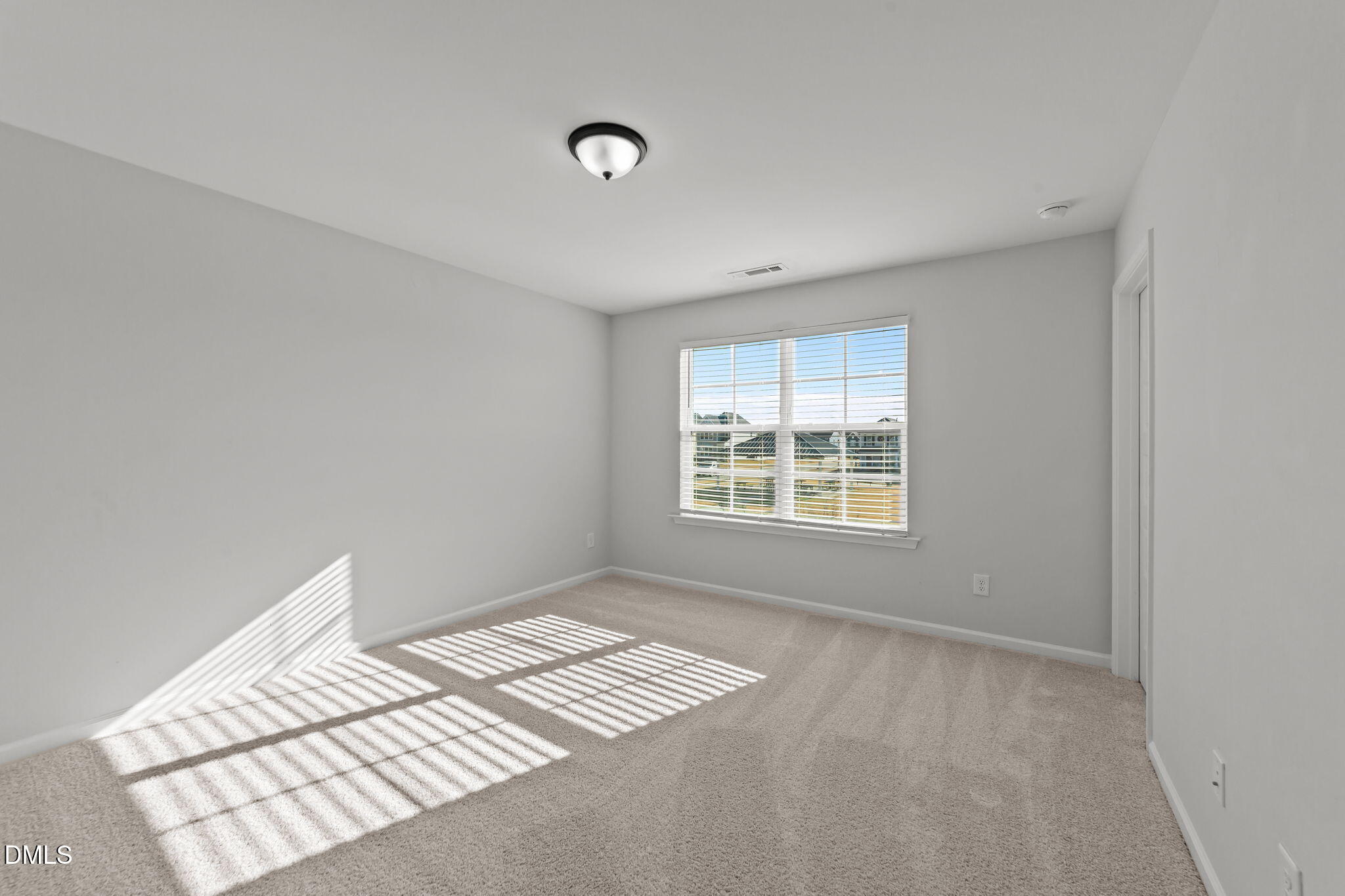 226 Blue Iris Parkway Property Photo 22